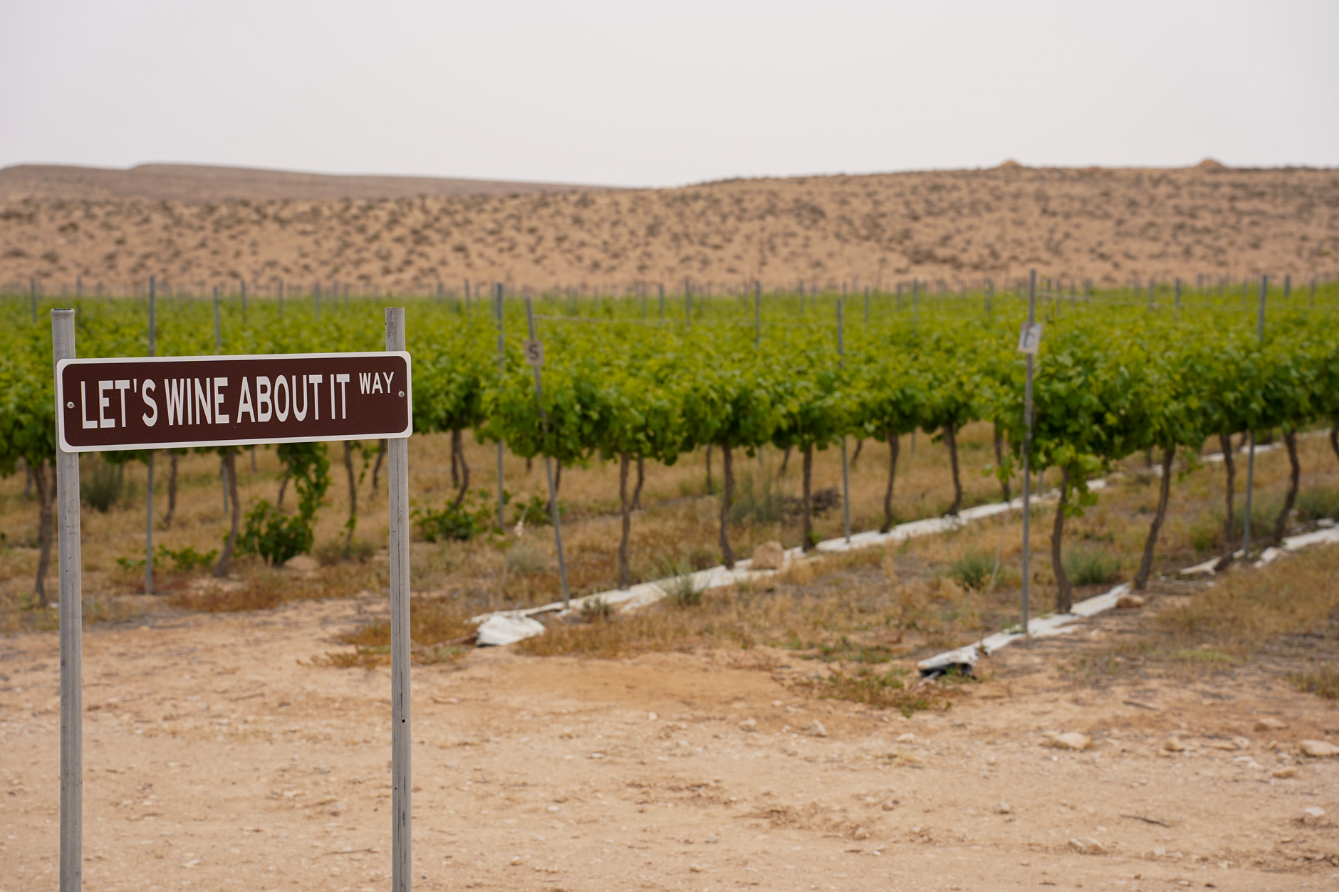Nahost - Israel beschlagnahmt Land im Westjordanland