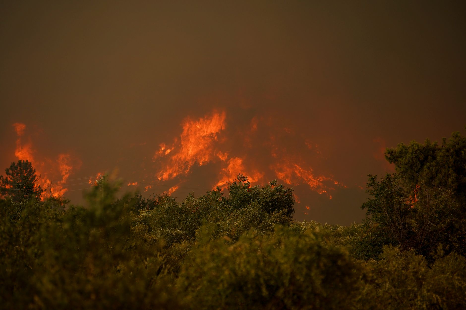 Waldbrände in Südeuropa: Starker Wind macht Lage auf Kreta unkontrollierbar