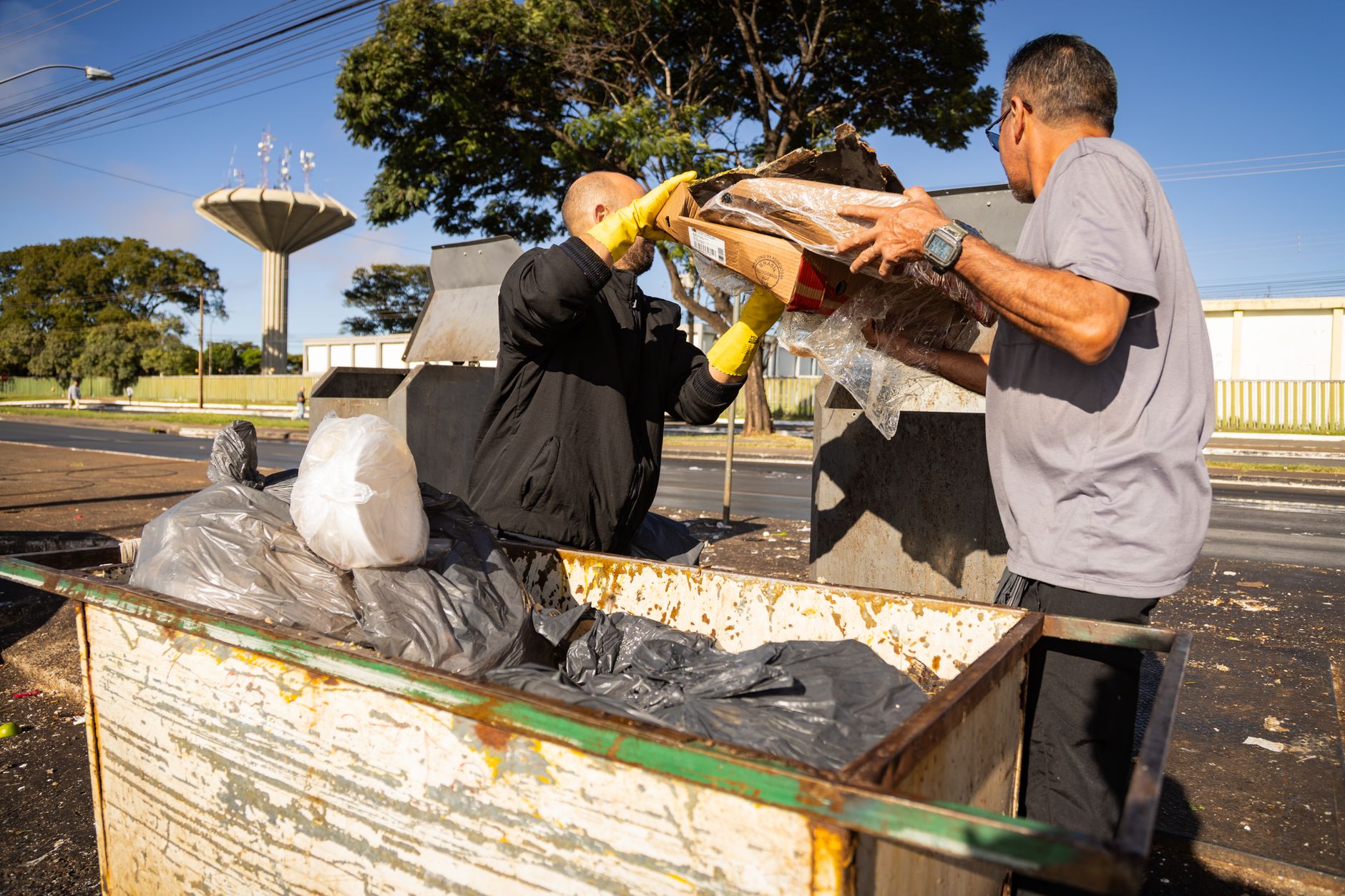 Kampf gegen Dengue in Brasilien: 190 Millionen Fabrikmücken pro Woche