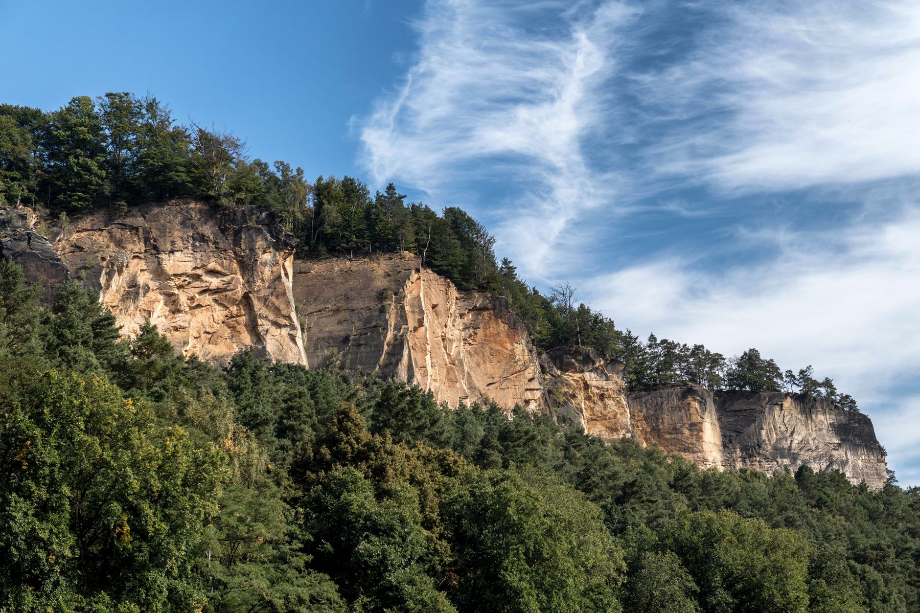 Unwetter - Nationalpark Sächsische Schweiz nach Unwetter für Besucher gesperrt - Baum erschlägt Mann im sächsischen Rathen