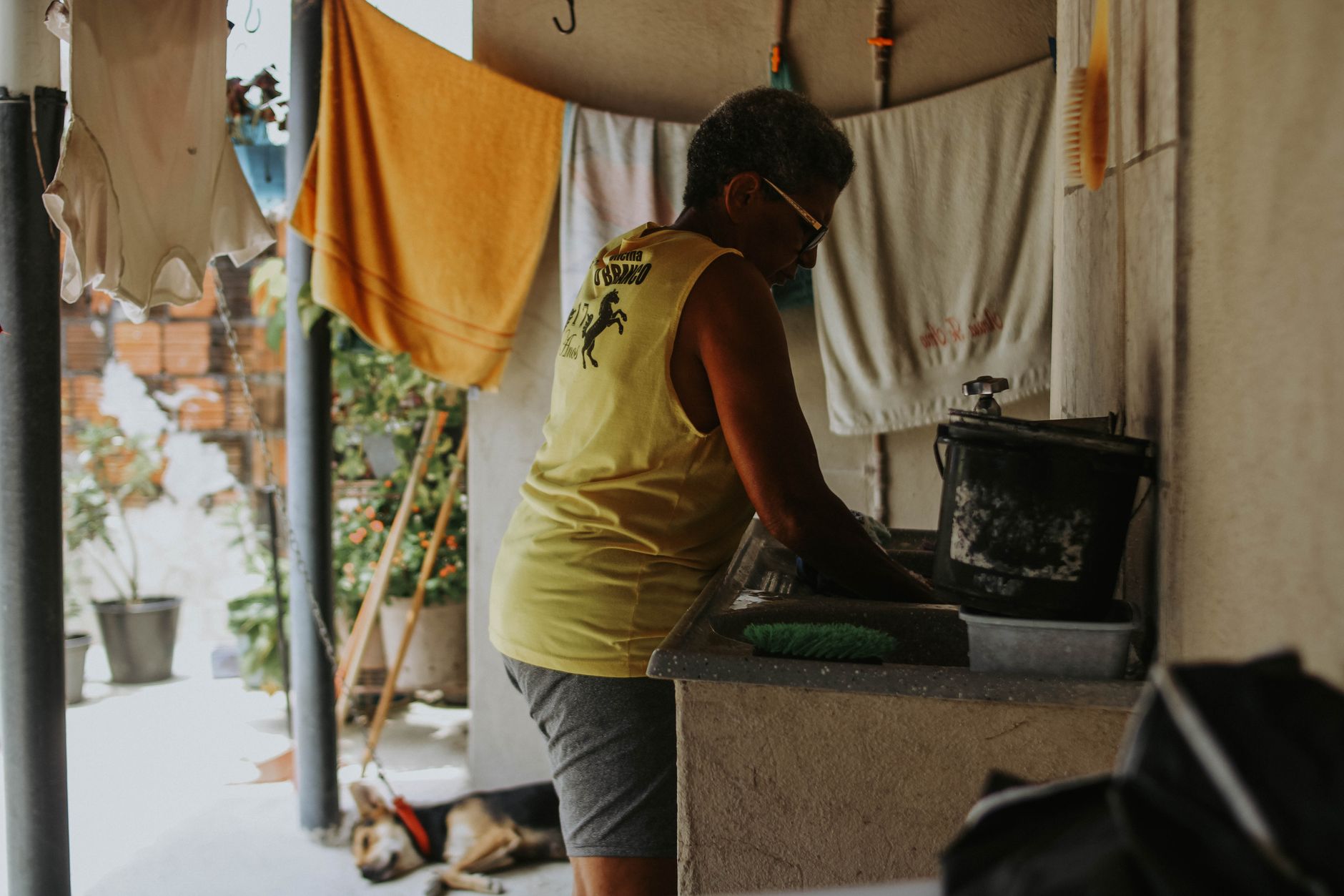 Kampf gegen Dengue in Brasilien: 190 Millionen Mücken pro Woche