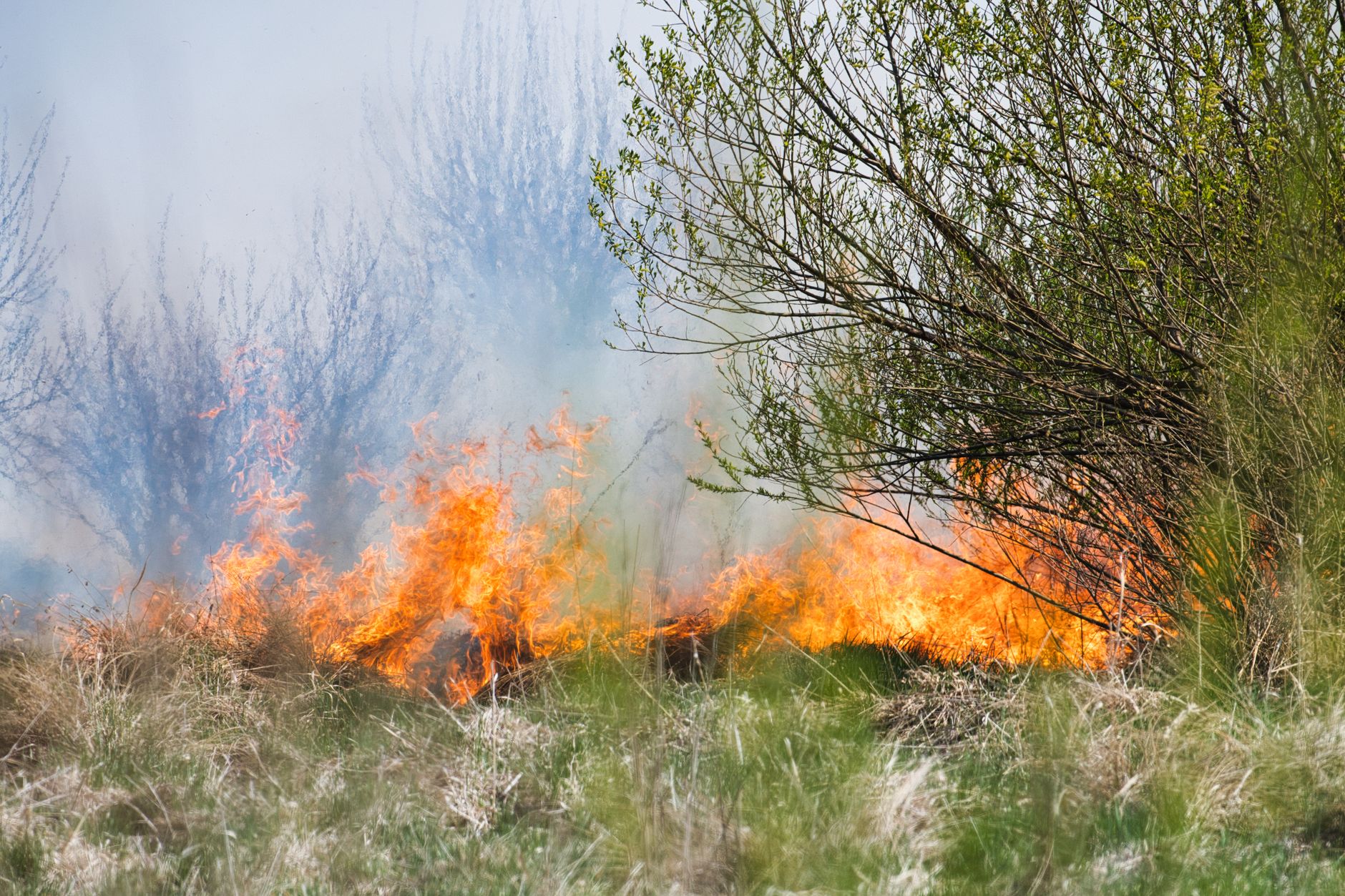 Waldbrände - Mehrere Ortschaften westlich von Athen evakuiert - griechische Behörden warnen vor Ausbreitung der Feuer