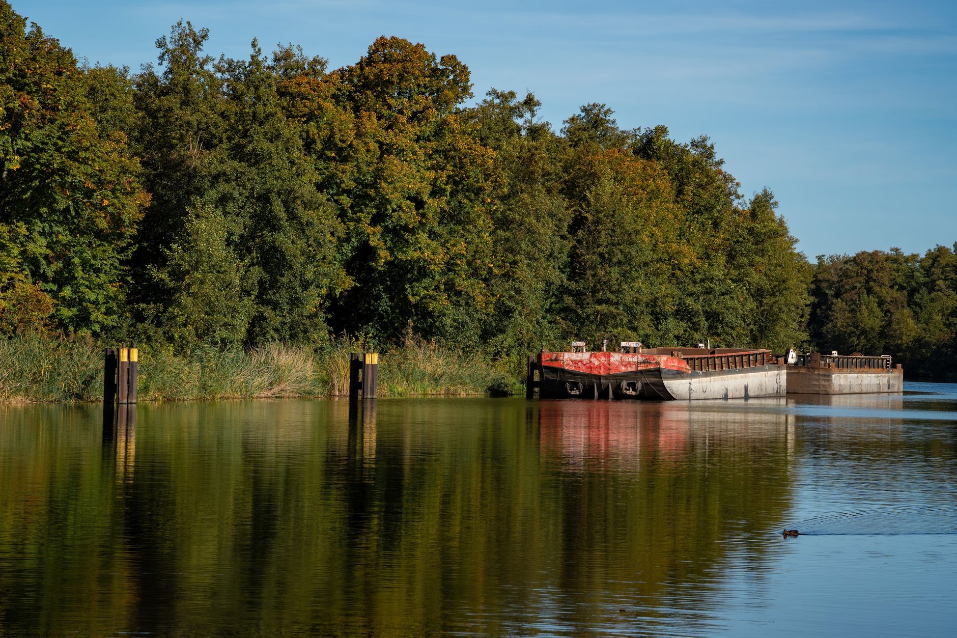 Rekord-Niedrigwasser im Rhein belastet Binnenschifffahrt in NRW
