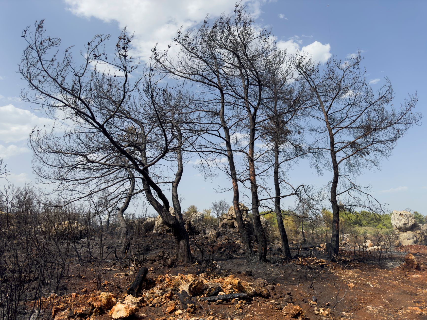 Waldbrände bedrohen Region um Athen