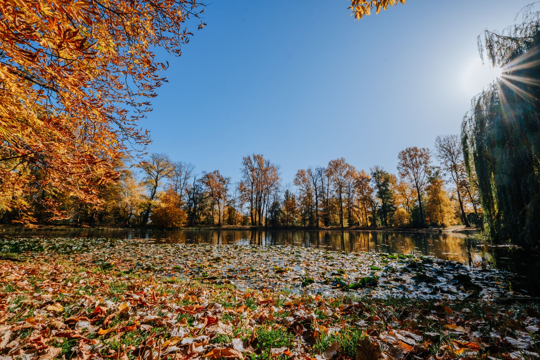 Wetter - Sonniger Sonntag, nur im Süden einzelne Gewitter