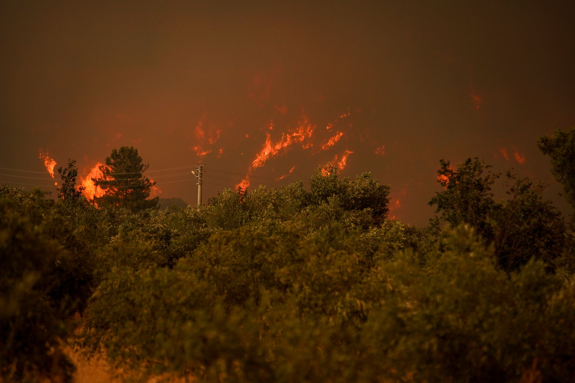 Walbrände in Griechenland: Wind facht Feuer weiter an