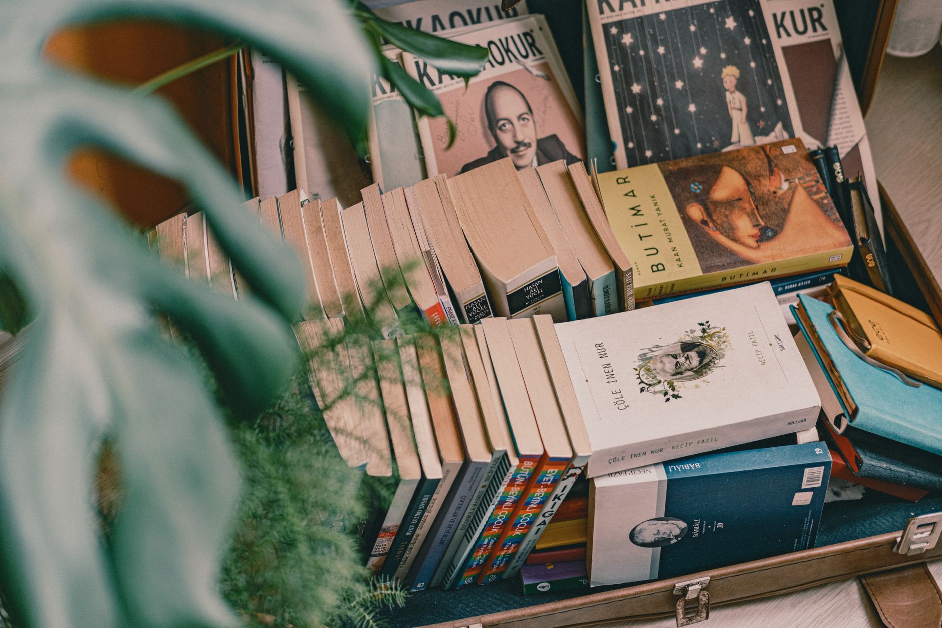 Autorin von »Die Bagage«: Die österreichische Schriftstellerin Monika Helfer ist tot