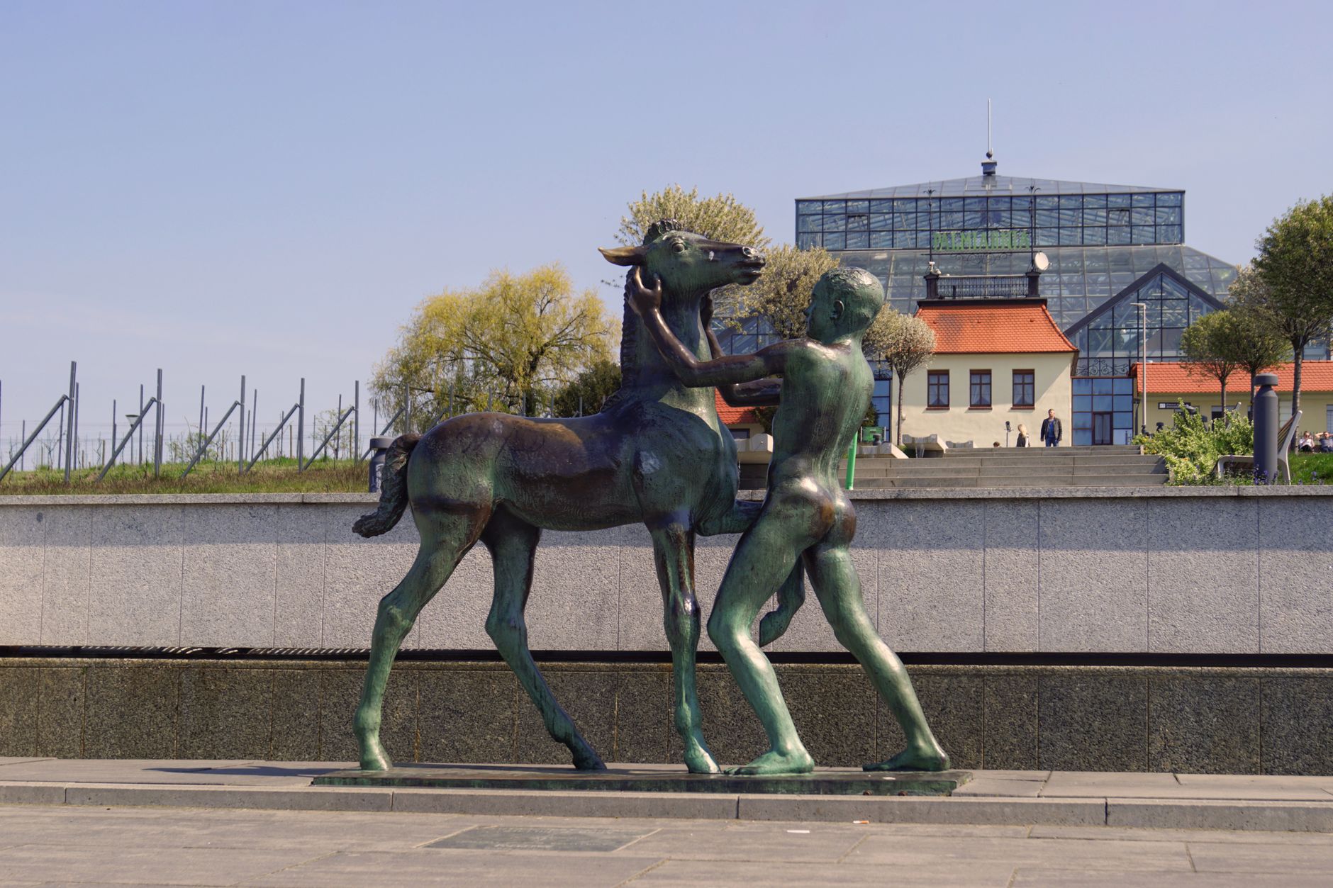 Europameisterschaft - Wasserspringer holen Bronze