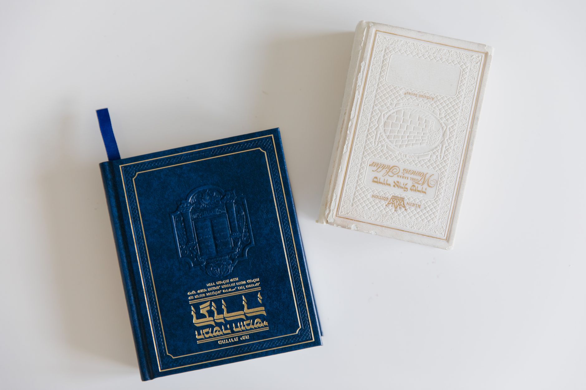 Hillel Cohens Buch: Als Palästinenser für den Zionismus kämpften
