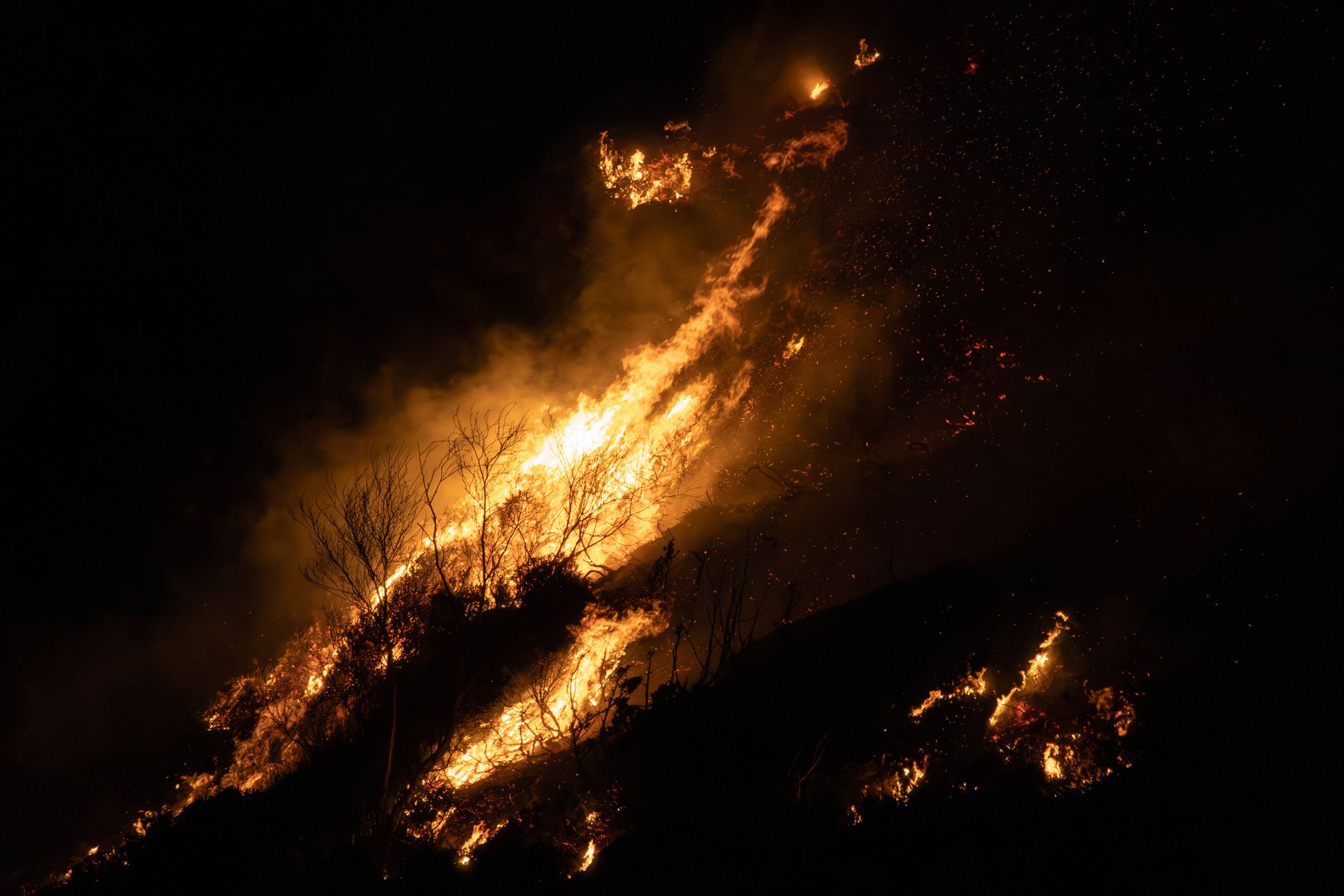 Feuerwehren in Griechenland kämpfen gegen 73 Waldbrände