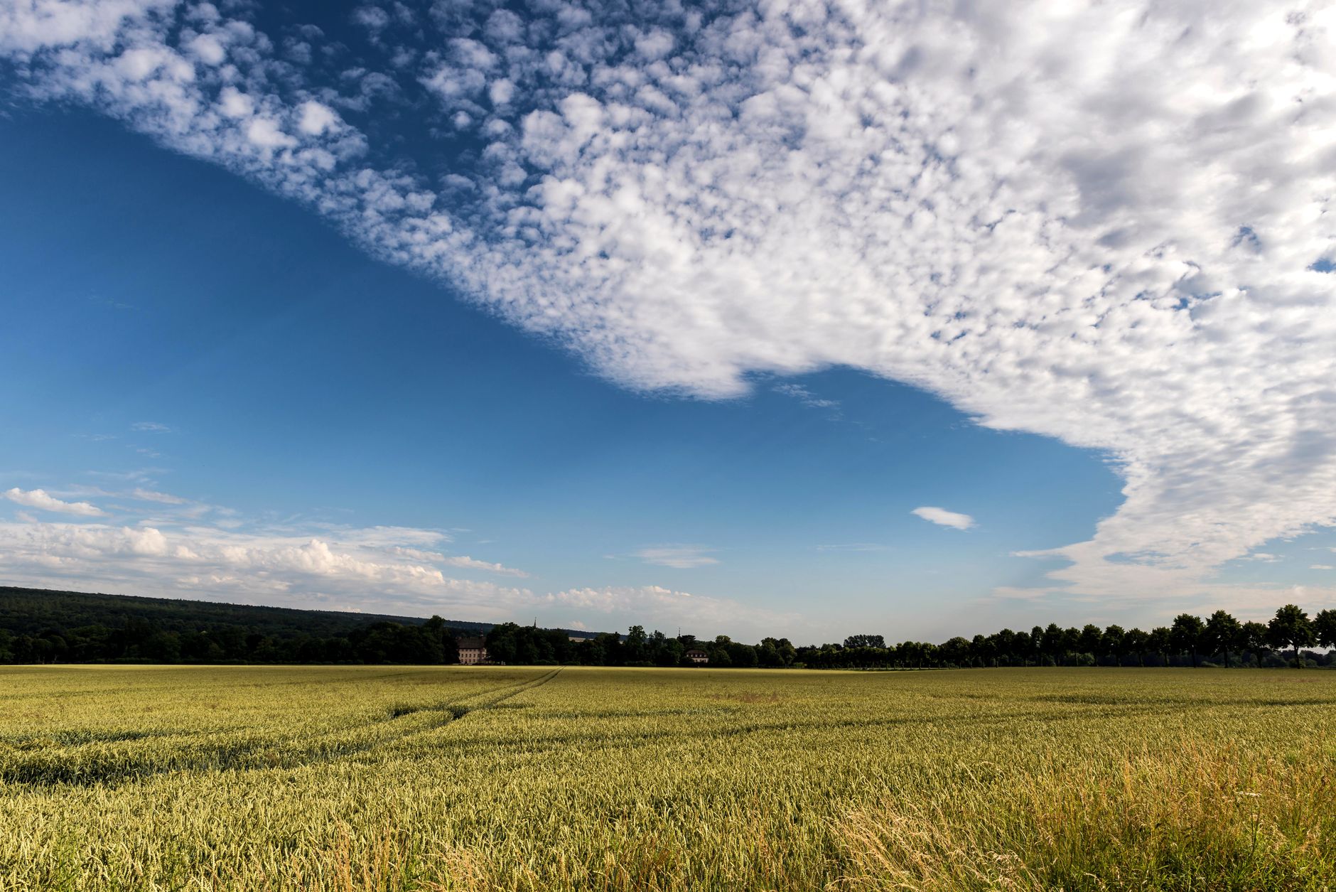 Wetter - Verbreitet sonnig, von Südwesten in die Mitte ziehende Gewitter mit Unwetterpotenzial