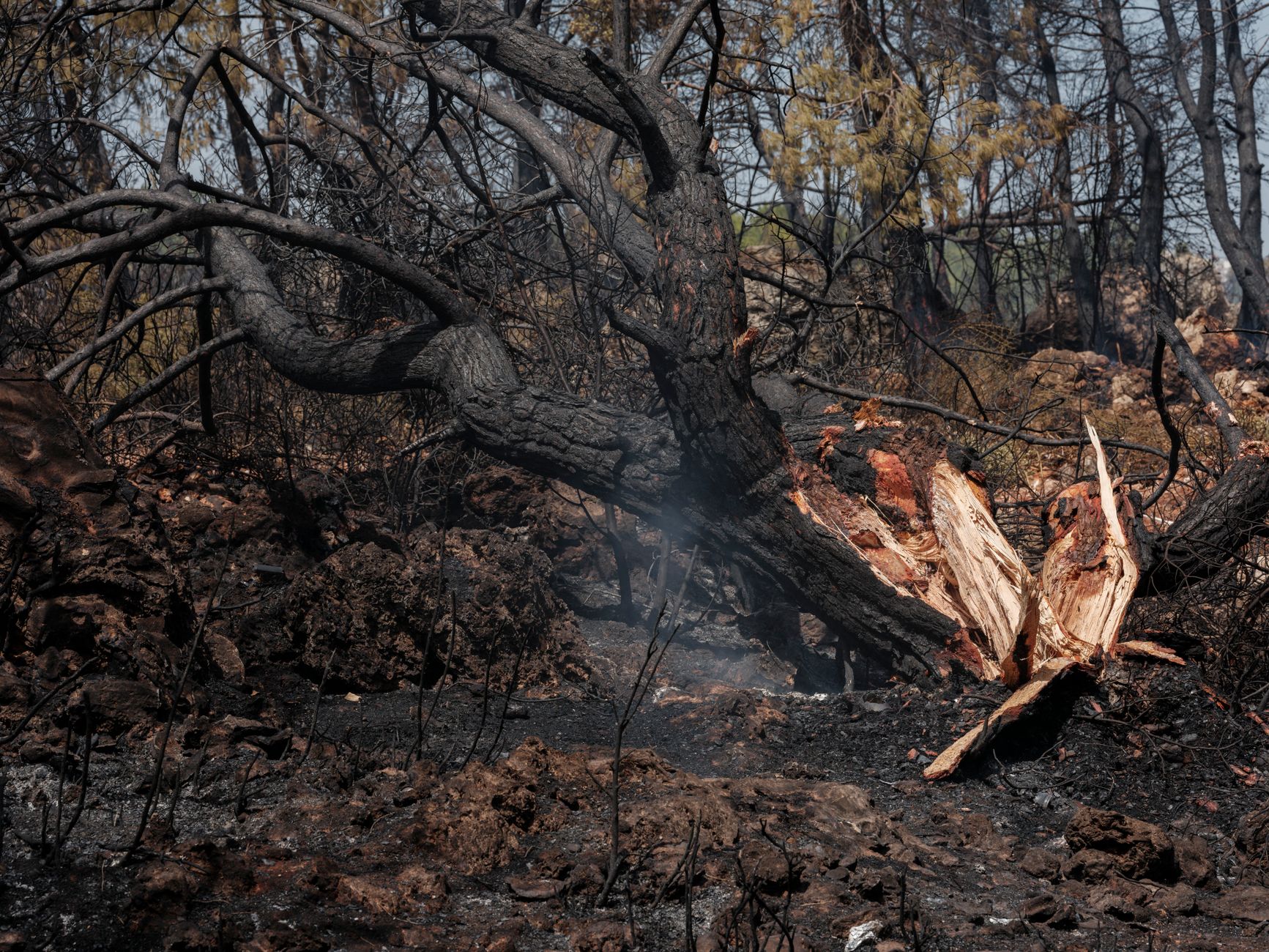 Hunderte Häuser bei Waldbränden im US-Staat Washington zerstört
