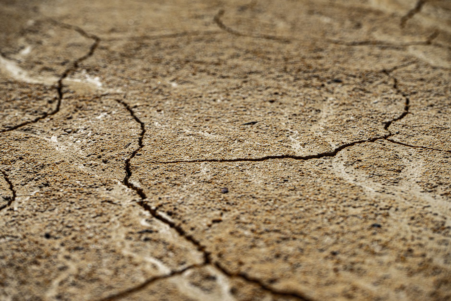 Trockenheit - Niedrigwasser bedroht deutsches Wirtschaftswachstum - Stromproduktion in mehreren Ländern beeinträchtigt