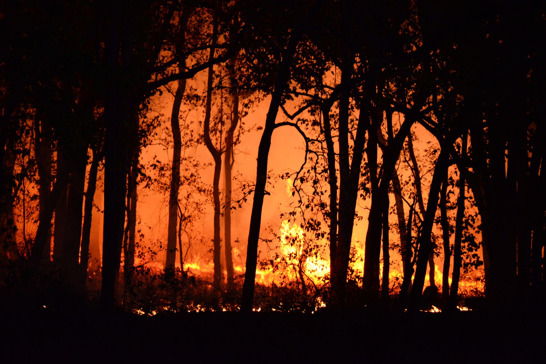 Waldbrand in den Niederlanden  - Warnung vor Brandrauch in NRW