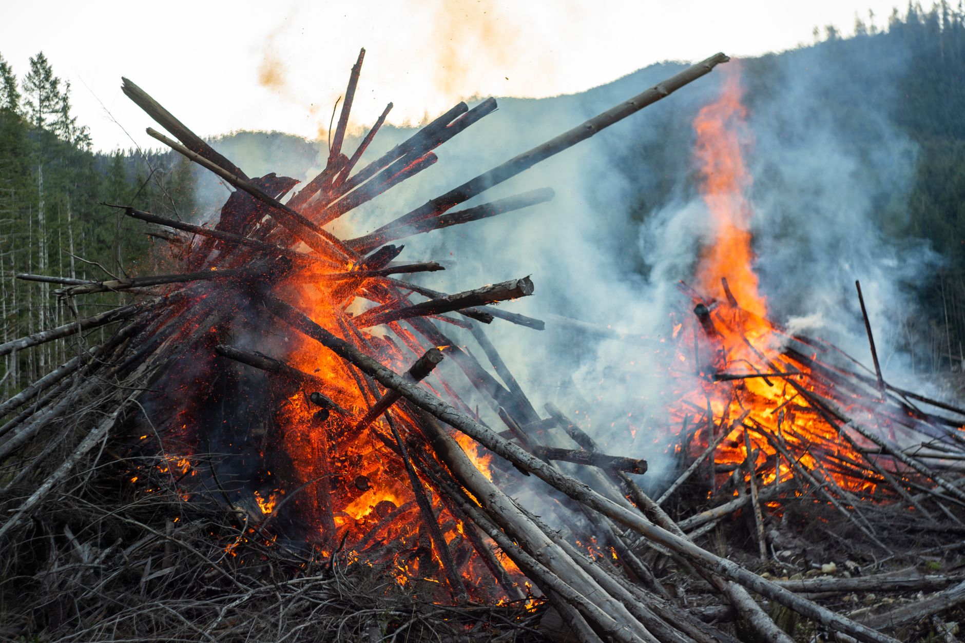 Waldbrände und Niedrigpegel - "Hitzegipfel" gefordert - Proteste vor Kanzleramt angekündigt