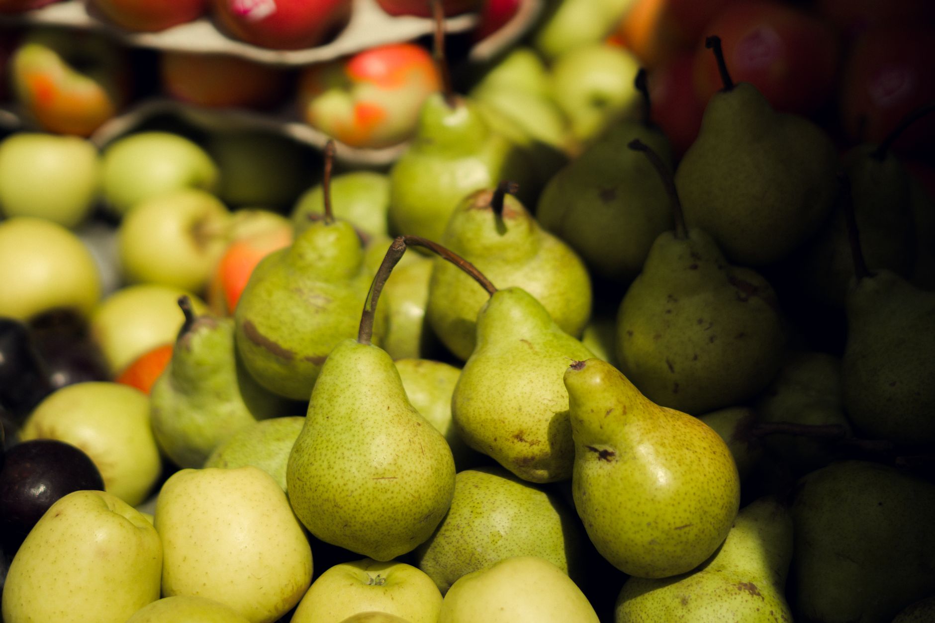 Äpfel, Birnen und Kirschen: Kreis Bergstraße verkauft heimische Obstbäume zum Einkaufspreis