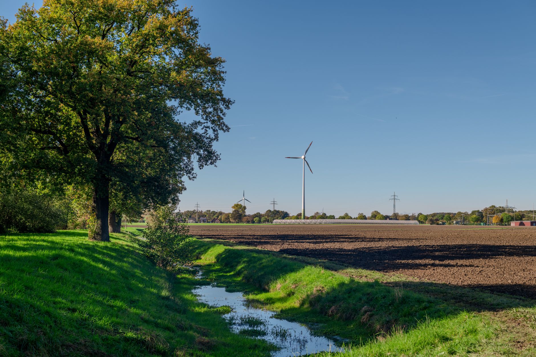 Warum das Niedrigwasser das Wirtschaftswachstum bremst
