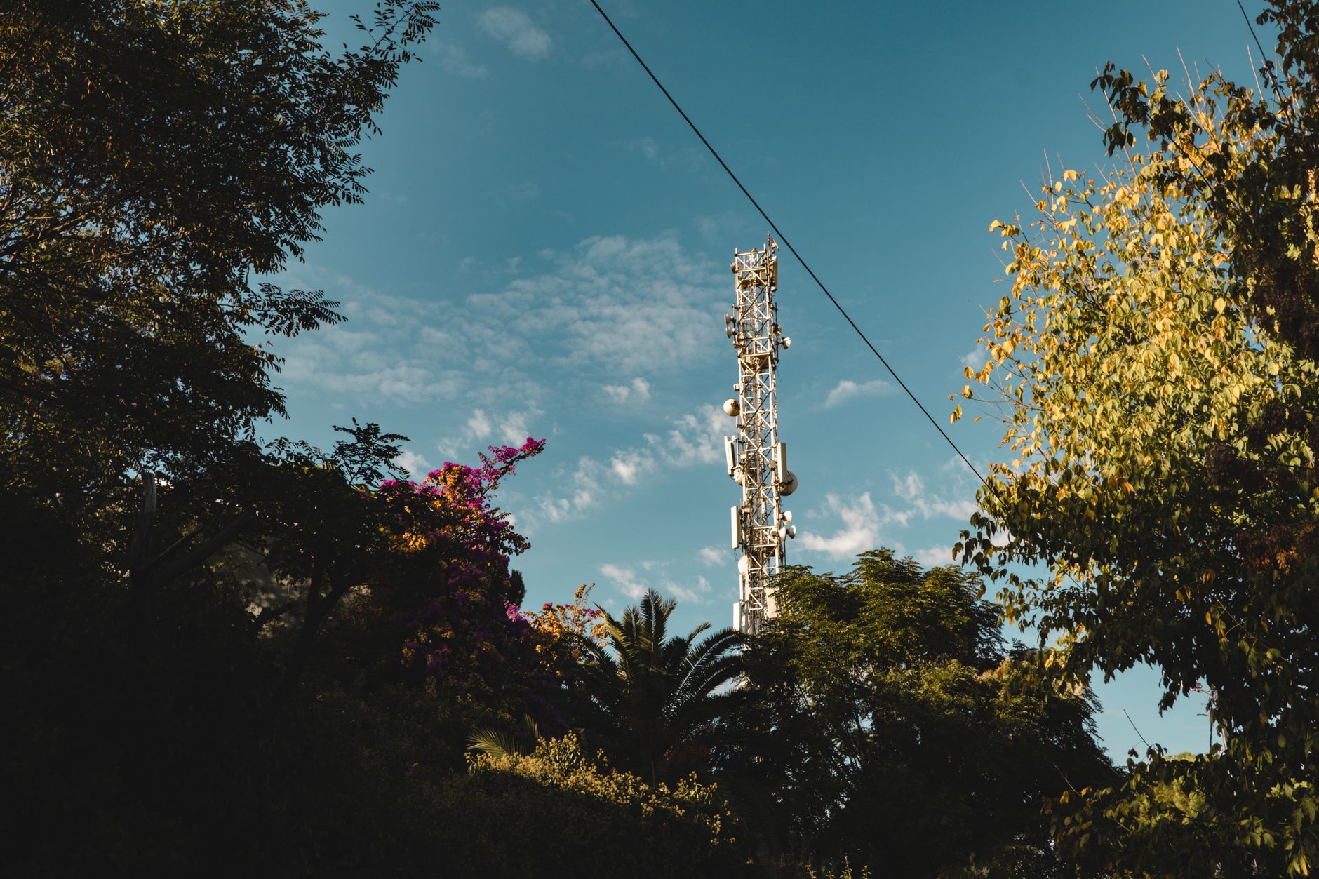 Telekom überrascht die Anleger