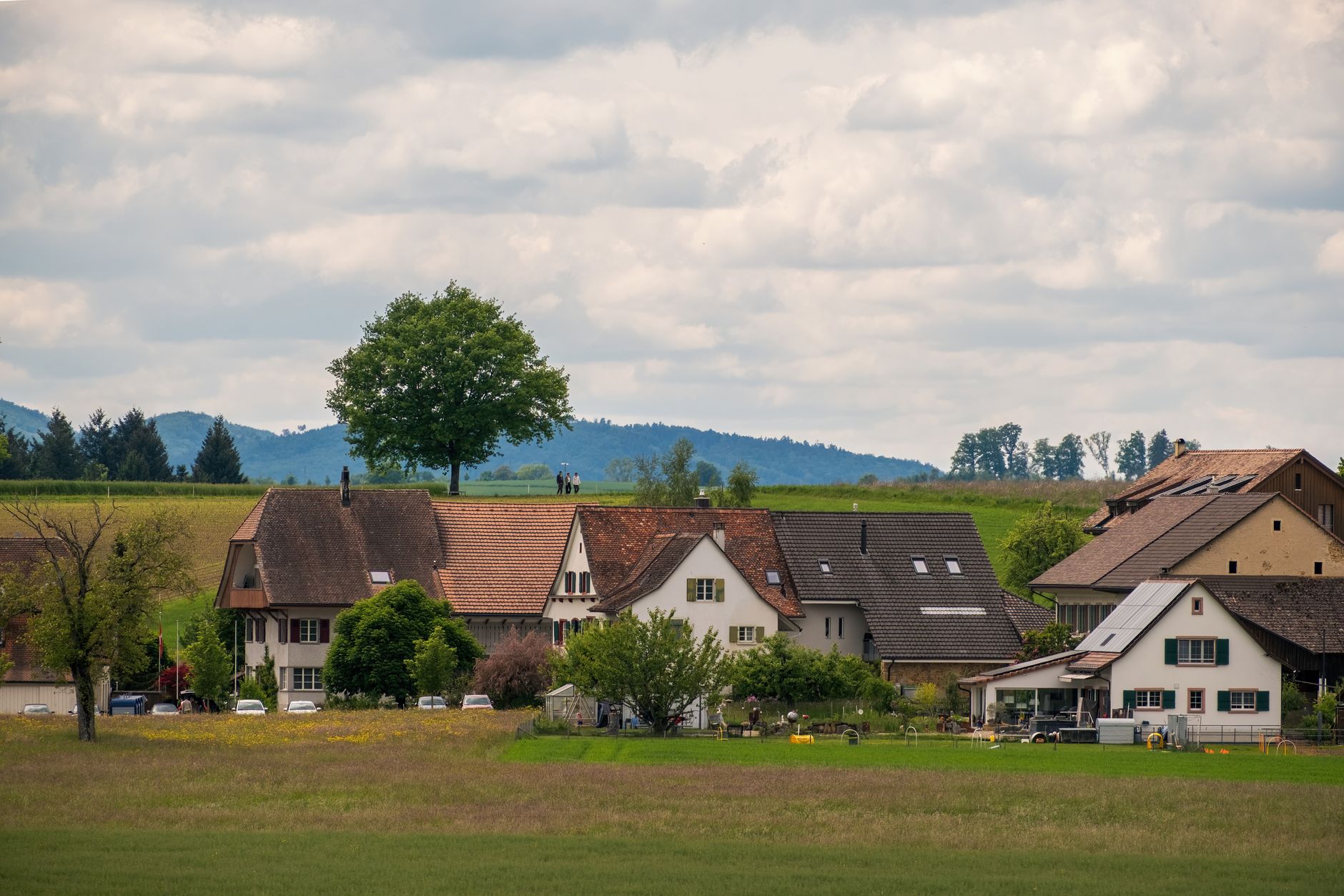 Wetter - Am Freitag gering bewölkt oder sonnig, im Norden eventuell etwas Regen