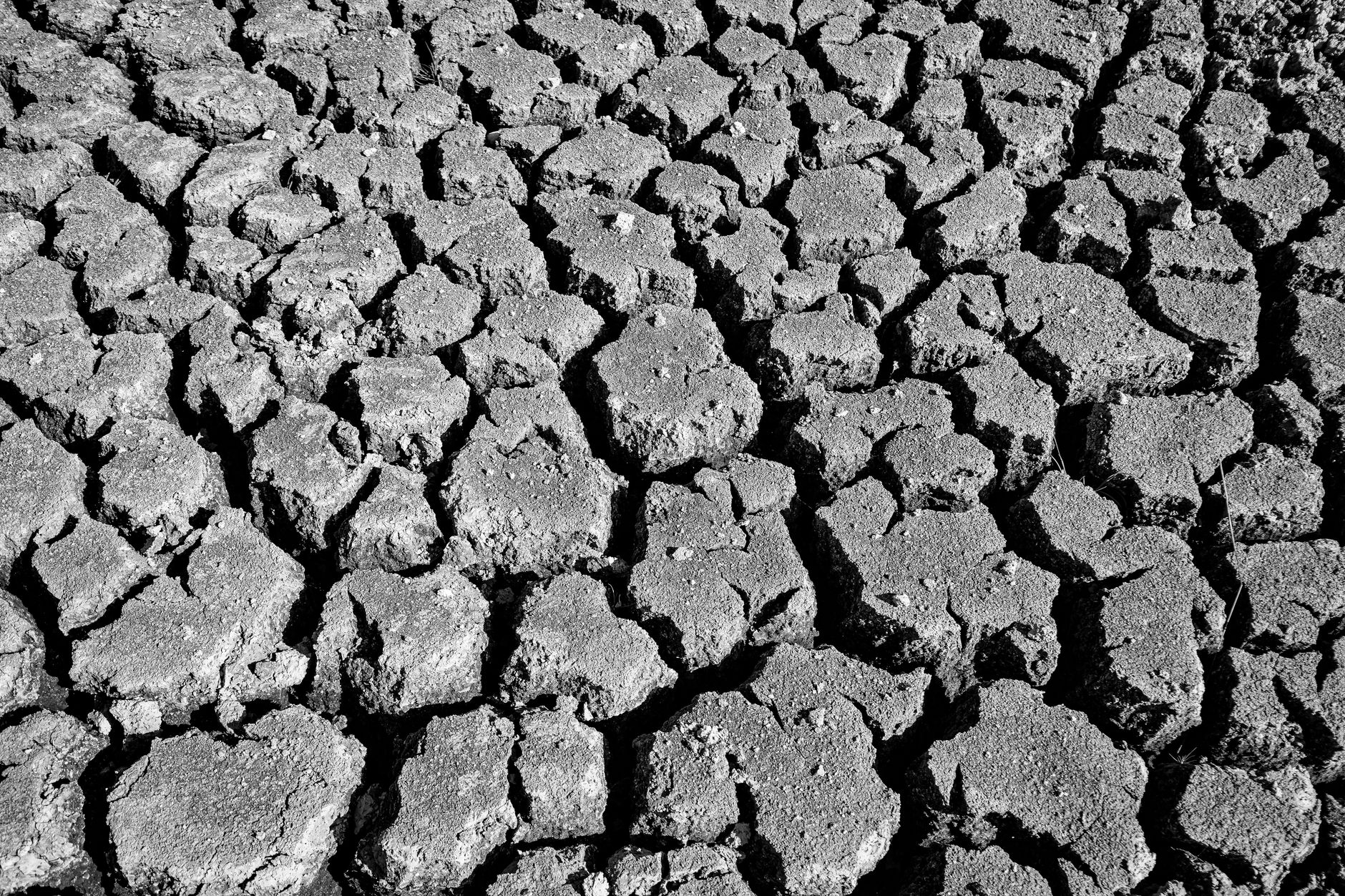 Extreme Hitze und Trockenheit - CDU-Klimapolitiker Gebhart verteidigt Politik der Bundesregierung