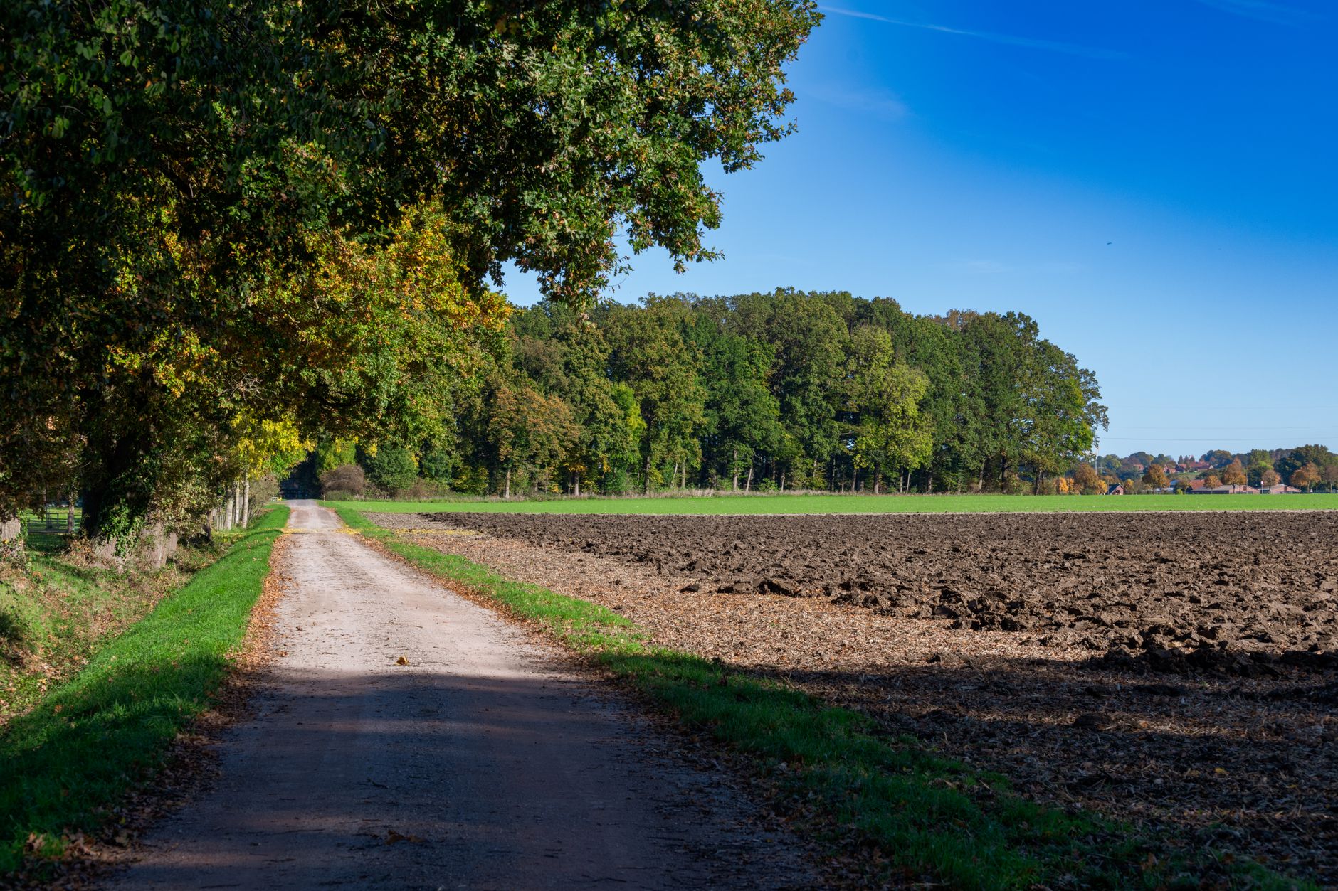 Wetter - Zum Wochenendauftakt sonnig und bis 33 Grad