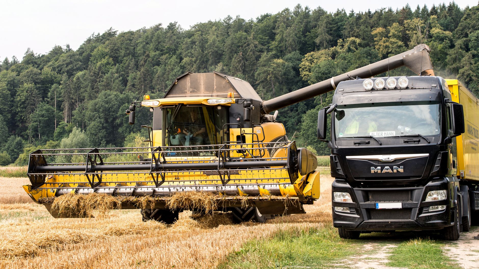 Daimler Truck setzt nach Gewinneinbruch auf zweites Halbjahr