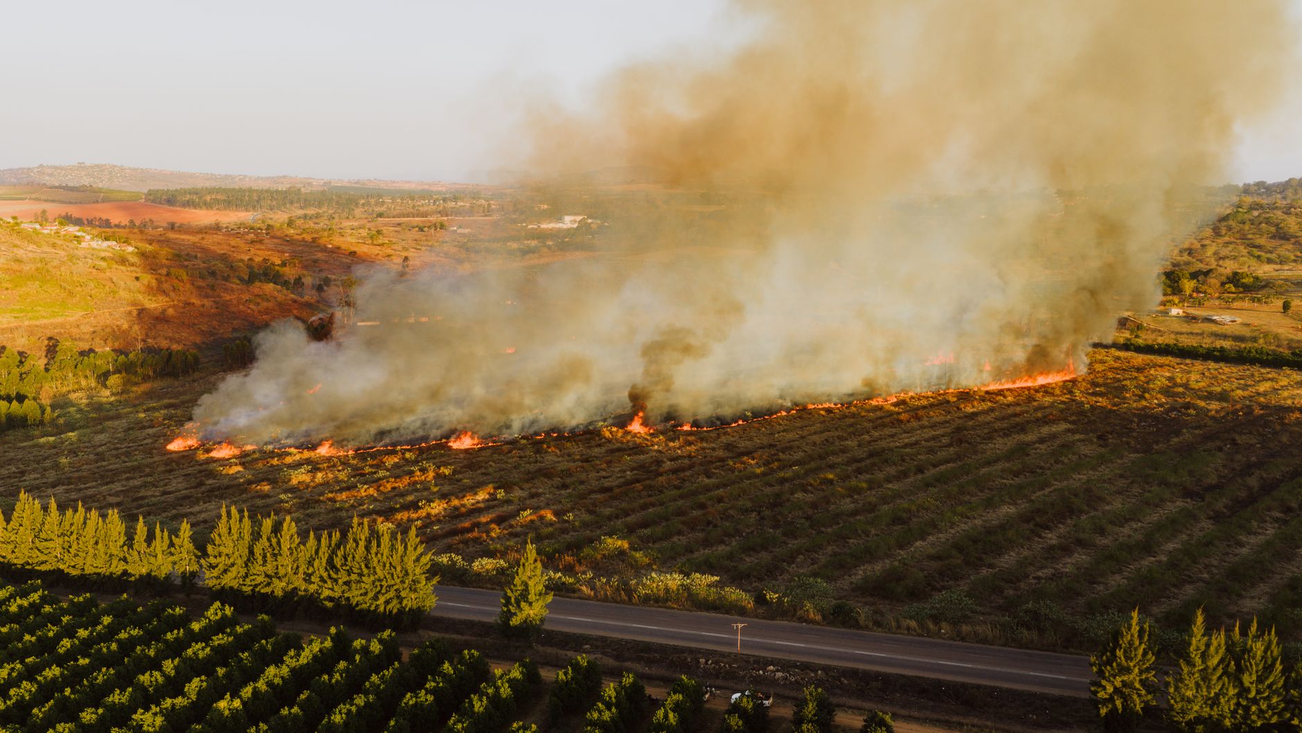 Feuer - Neue Waldbrände in Spanien und Frankreich - Notstand in West-Kanada