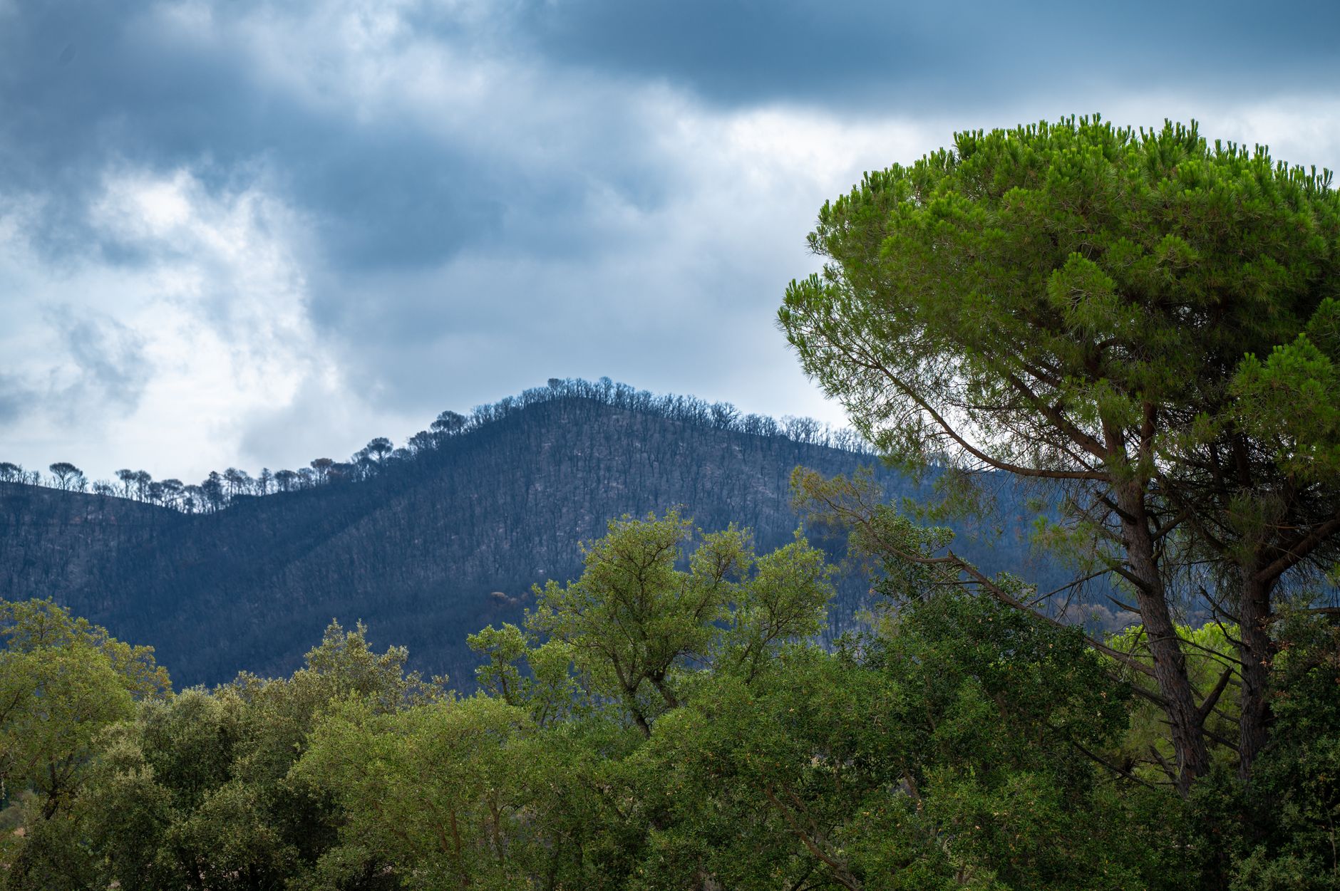 Erneut Waldbrände in Spanien und Frankreich ausgebrochen