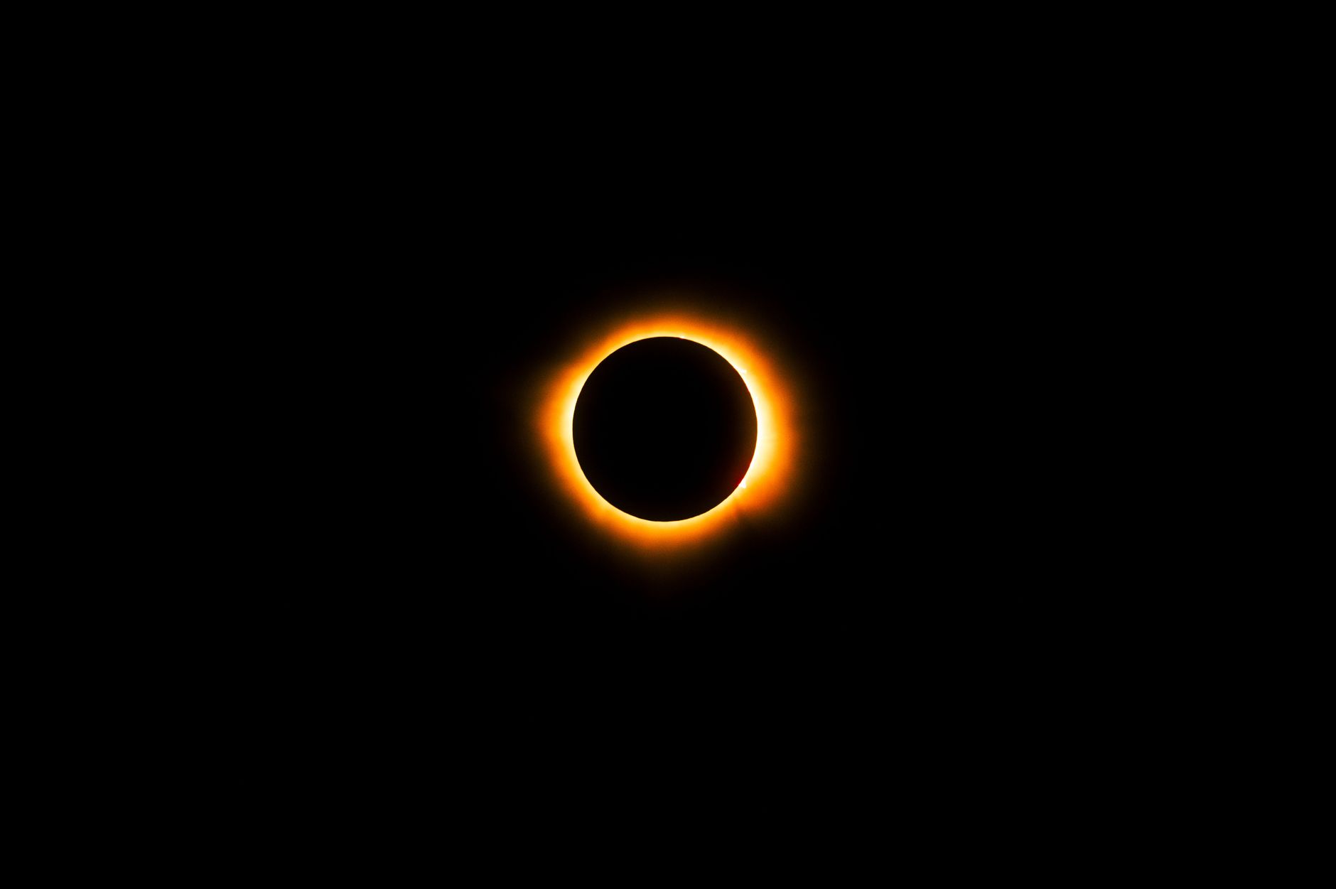 Sonnenfinsternis: Smartwatches messen, was das Phänomen mit unserem Körper macht