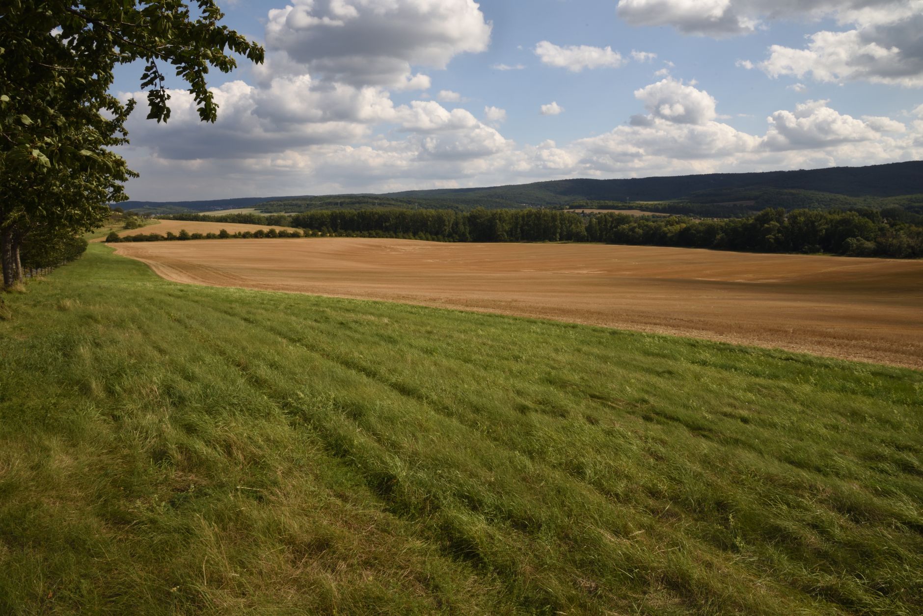 Sachsen-Anhalt: Ramelow wirbt für Kooperation mit CDU