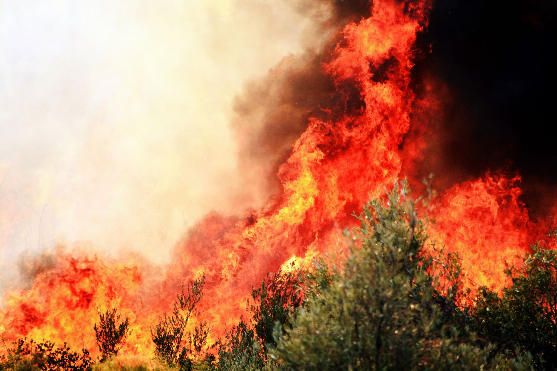 Einsätze der Feuerwehr - Mehrere Waldbrände in Deutschland