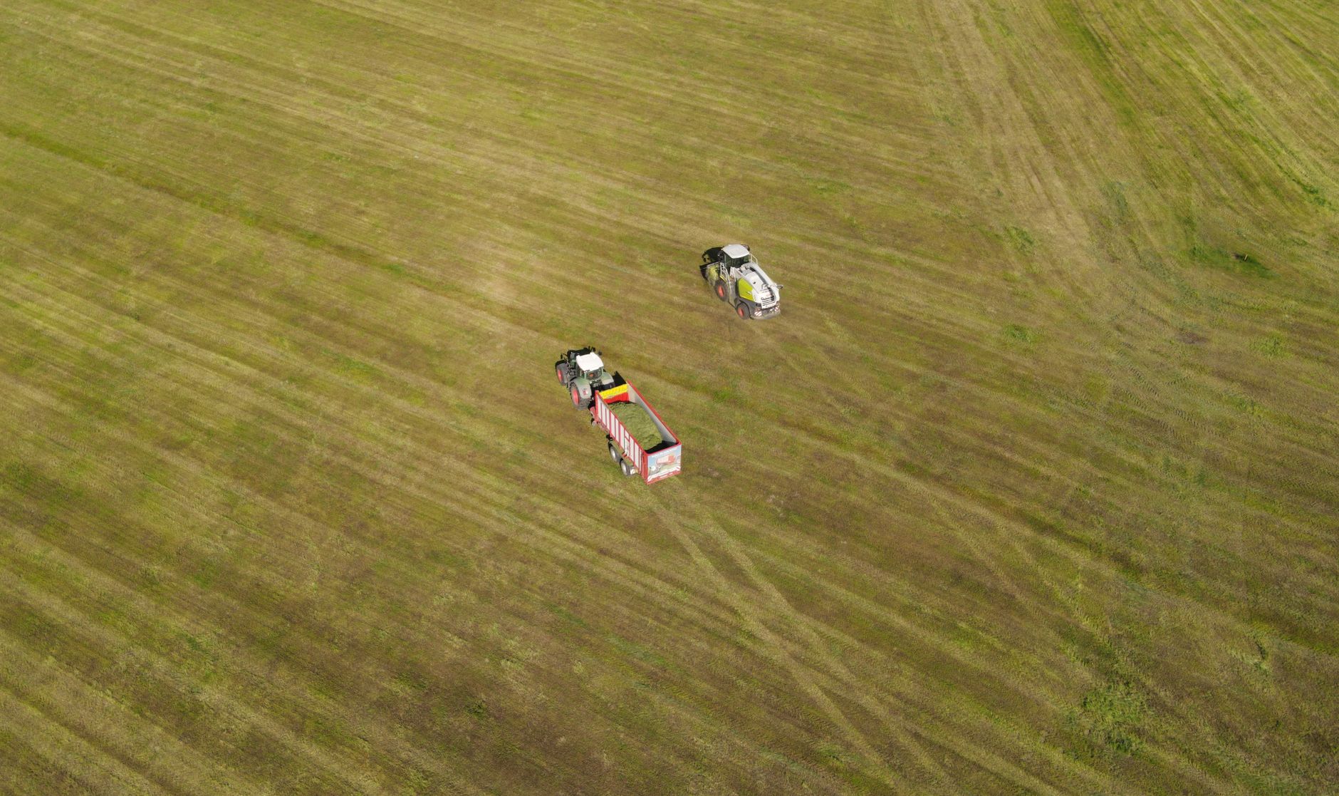 KI-Tipps ruinieren Ernte: Wie ein Farmer 10 Hektar Sesam verlor