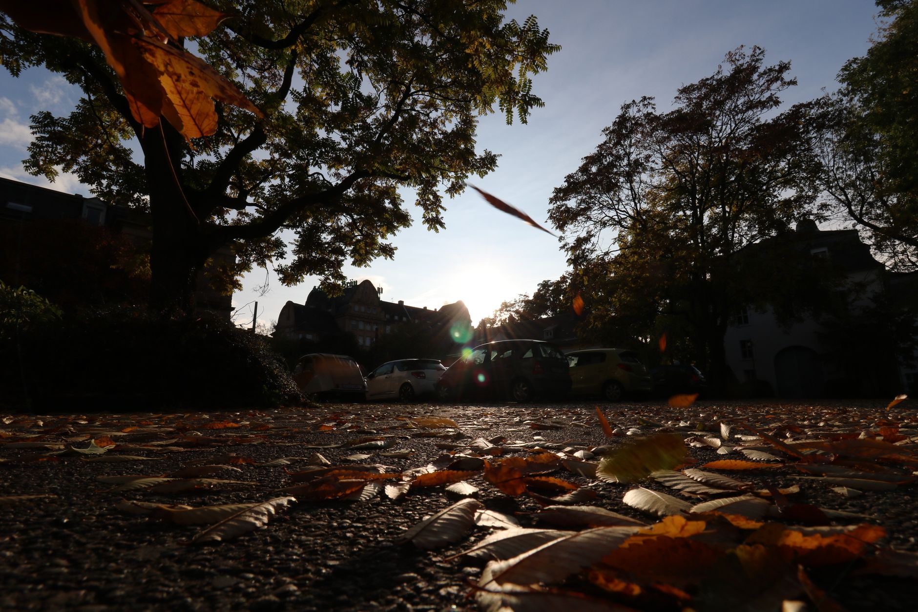 Karlsruhe - Klimagerechtigkeitsbewegung trifft sich zum "System Change Camp"