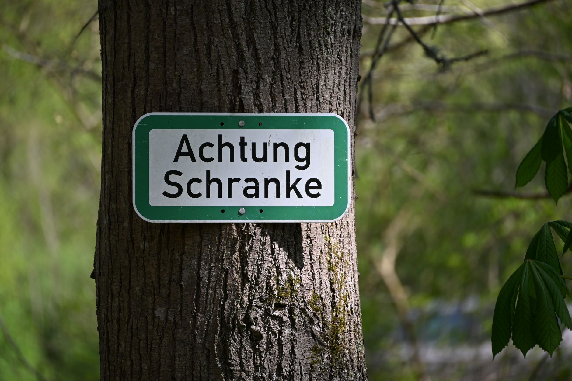 Gedenken an Mauerbau - Warnung vor Geschichtsvergessenheit