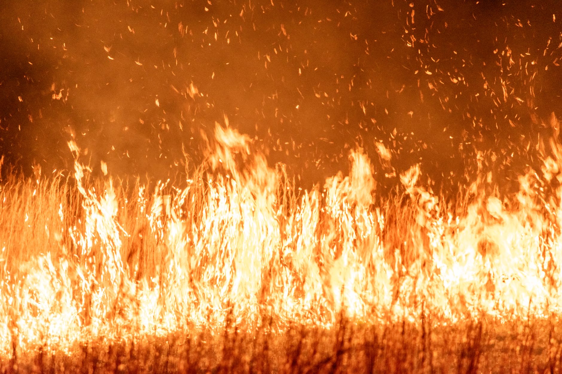 Eifel: Großes Feuer 500 Meter von Ortsteil entfernt