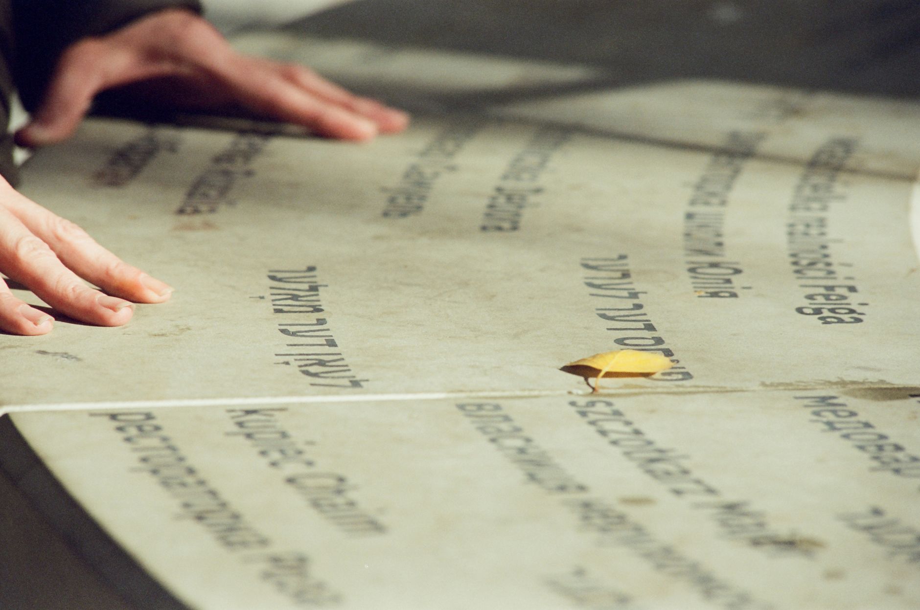 Rares von Goethe: Wer bekommt den Faust in die Hand?