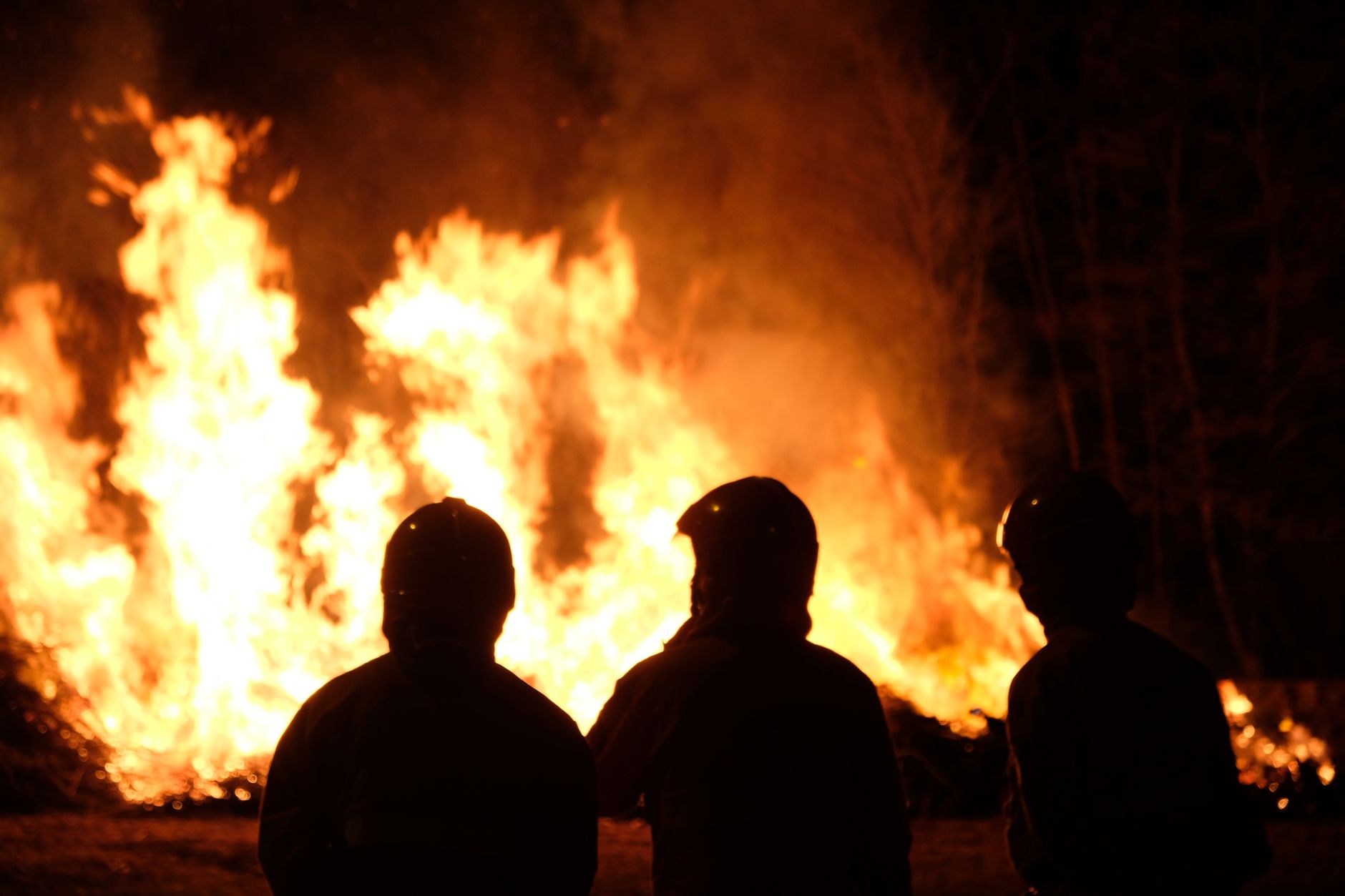 Waldbrände in Europa: Hunderte Menschen in Sicherheit gebracht