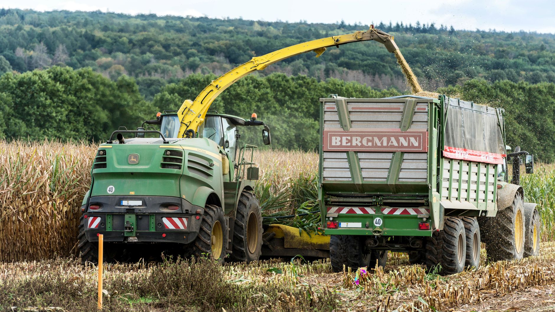 Ernteausfälle - Landwirtschaftsminister Rainer: Entscheidung über Hilfen Ende August