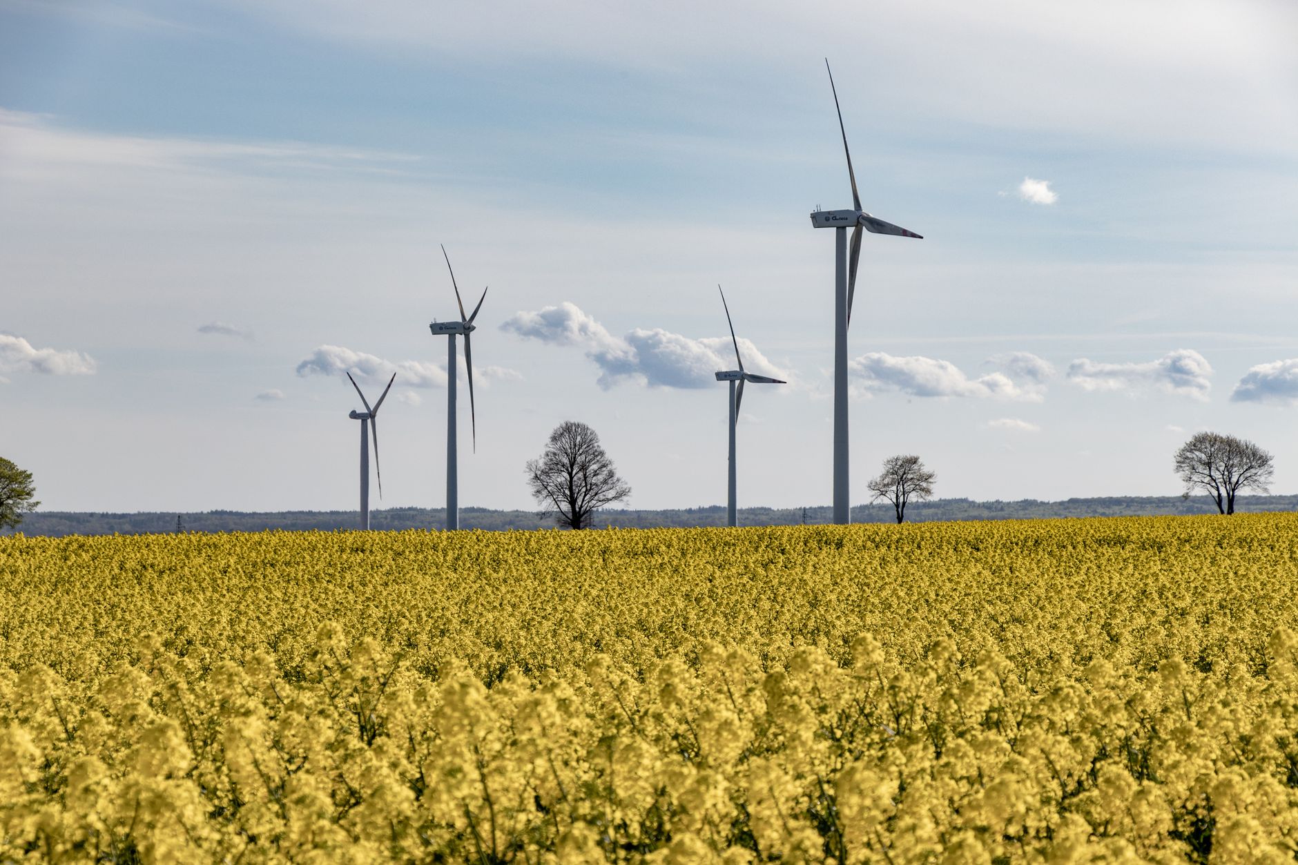 Erneuerbare Energie - Chemieunternehmen Wacker wünscht sich mehr Planungssicherheit
