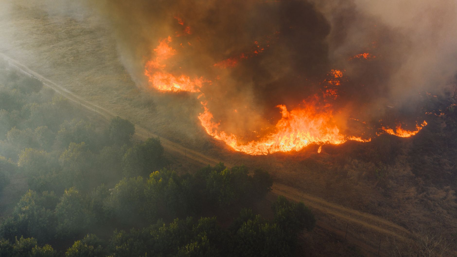 NRW kämpft mit dem wohl größten Waldbrand der Landesgeschichte