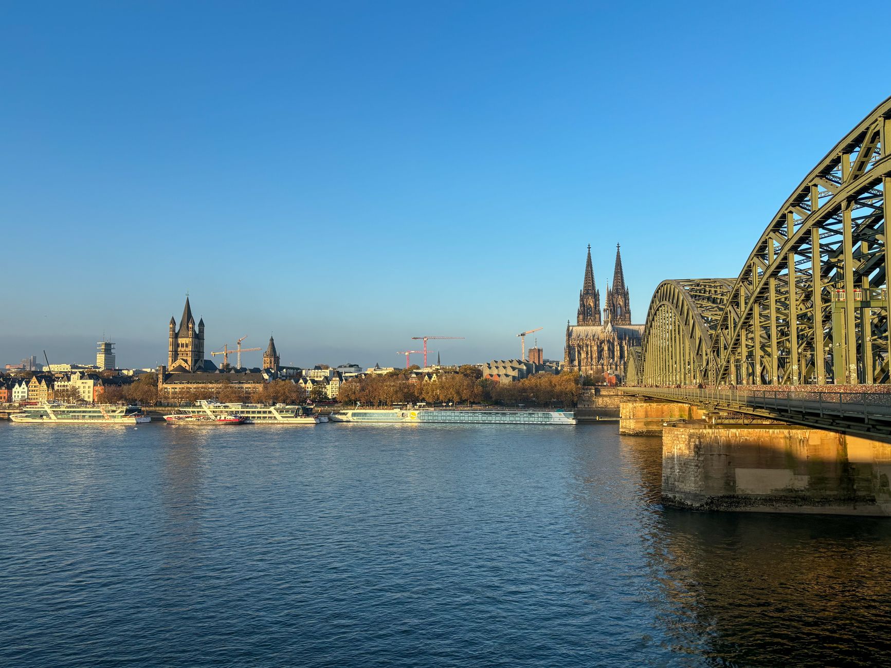 Durch Main und Rhein - Extremschwimmerin schwimmt von Frankfurt nach Köln