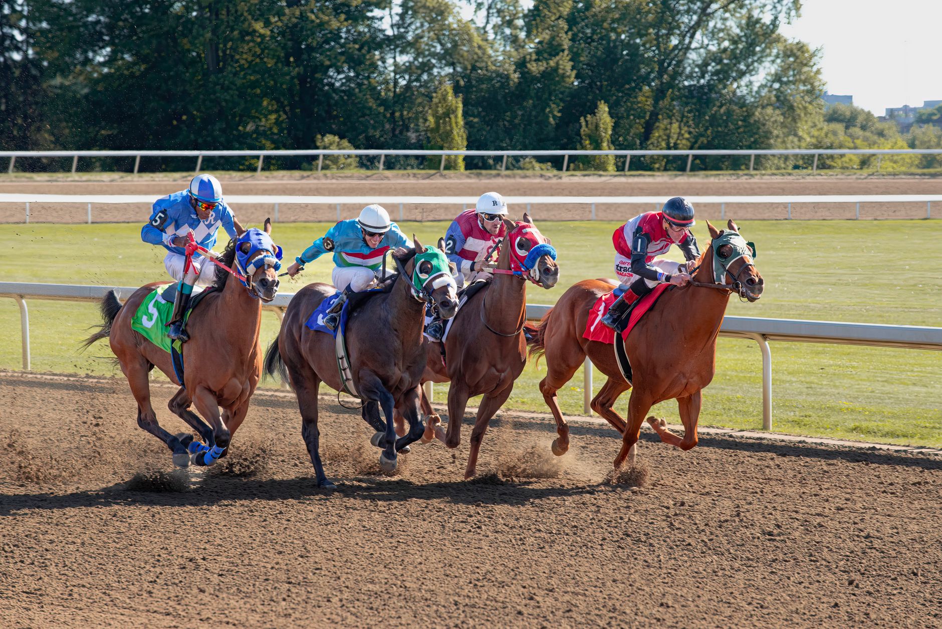 Sport mit Leichtathletik, Reiten und Turnen