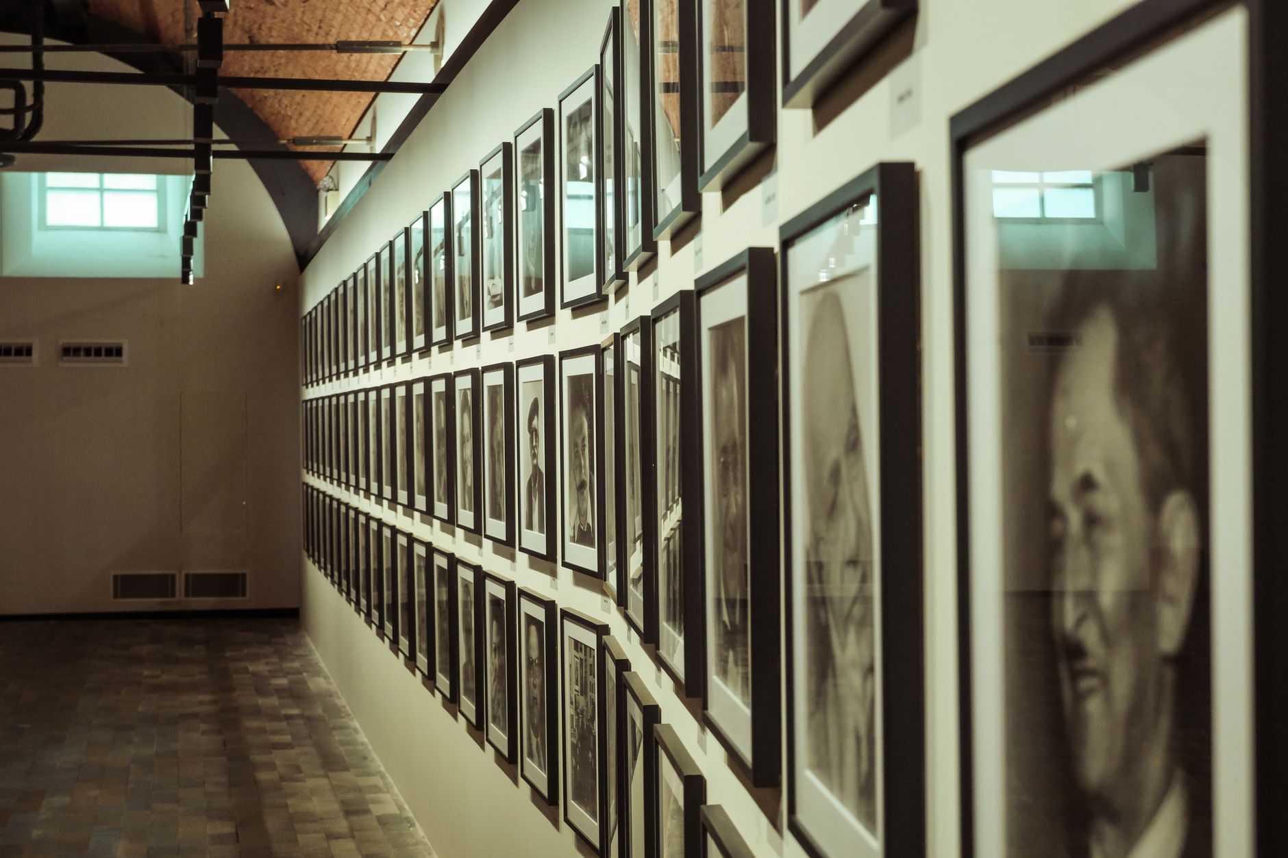 Ausstellung in Darmstadt: Ein Museum voller Flügel und Fühler