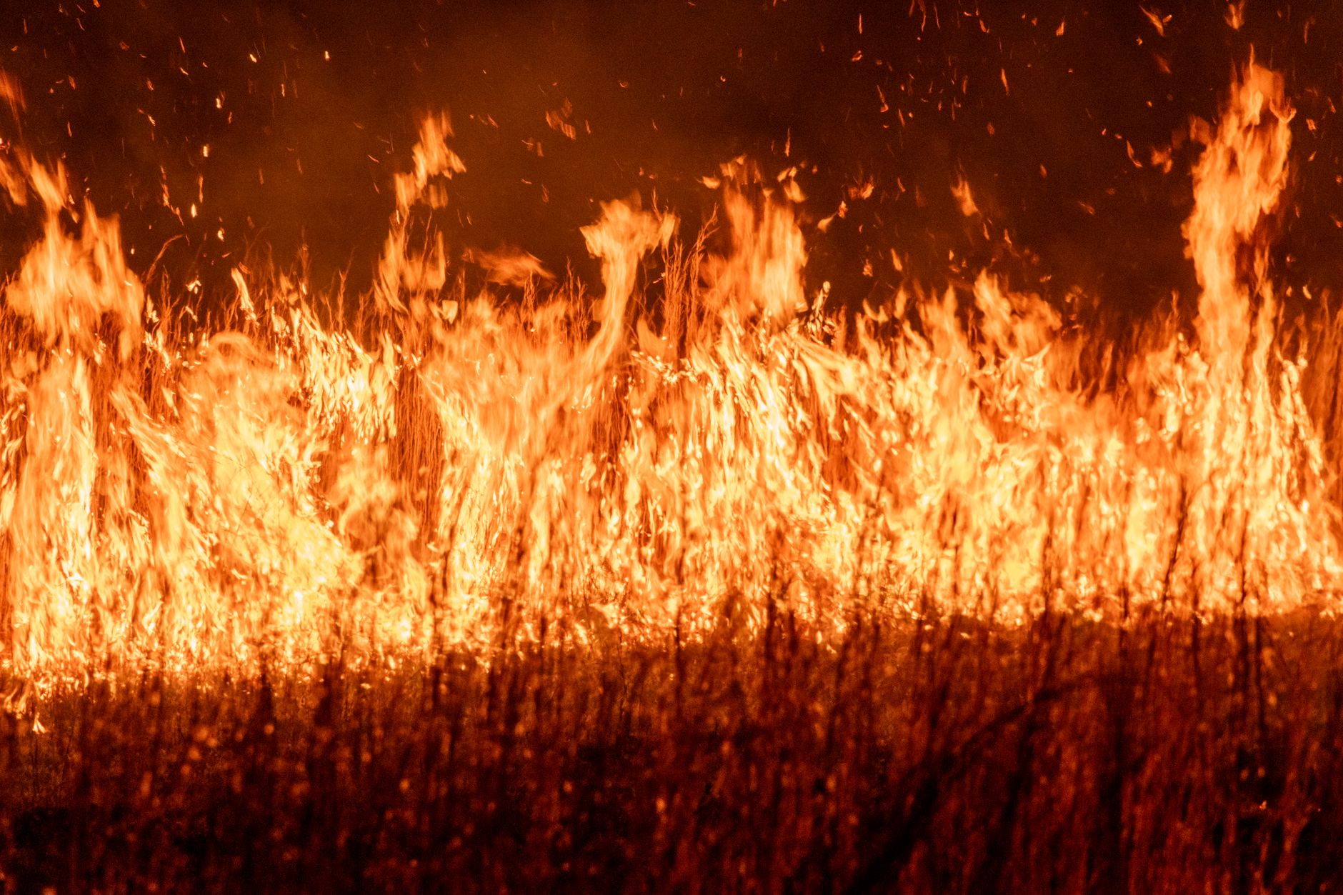Belgien - Waldbrand im Hohen Venn breitet sich aus: 1.600 Hektar Vegetation zerstört