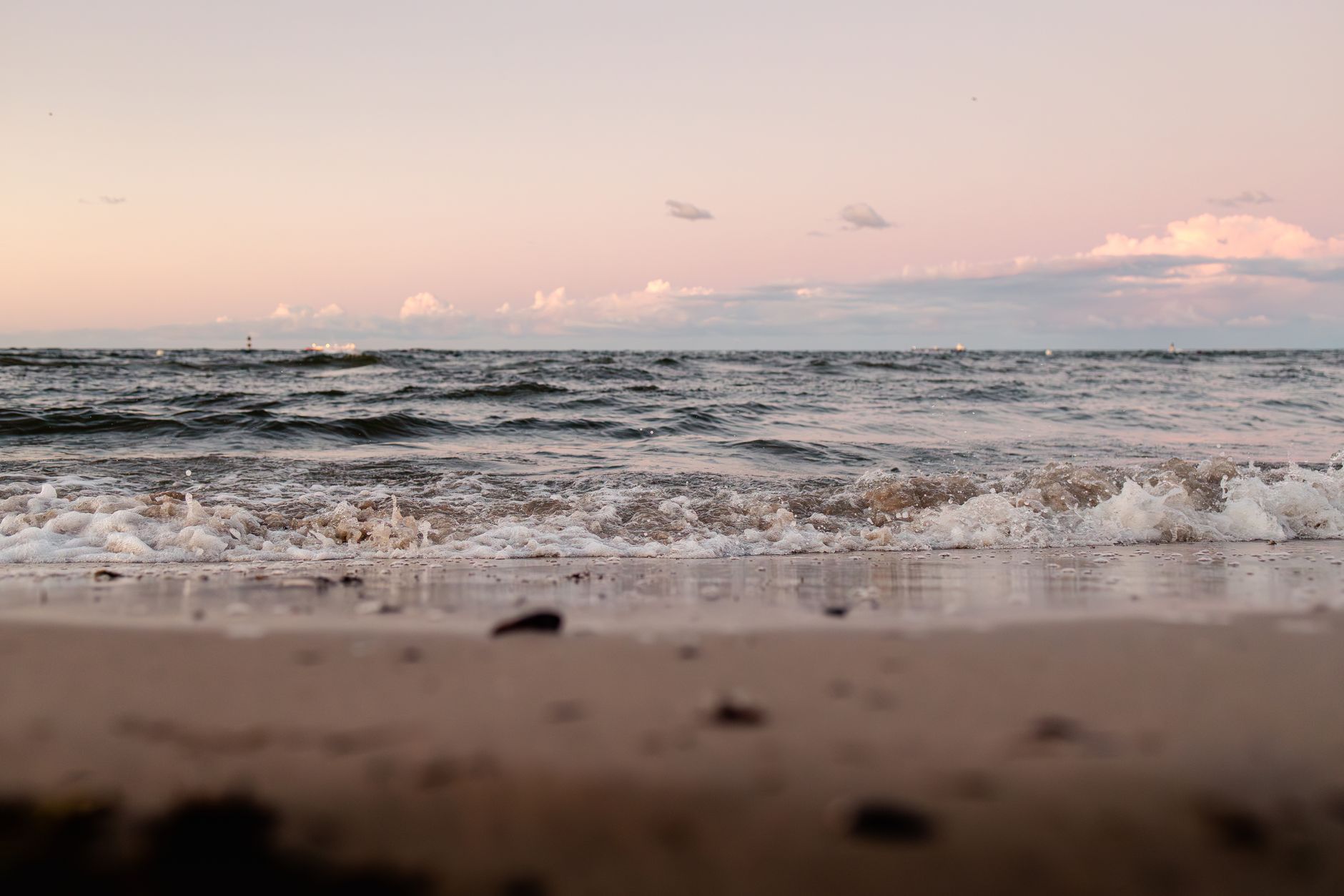 Ostsee: Behörde verhängt Badeverbote wegen Blaualgen