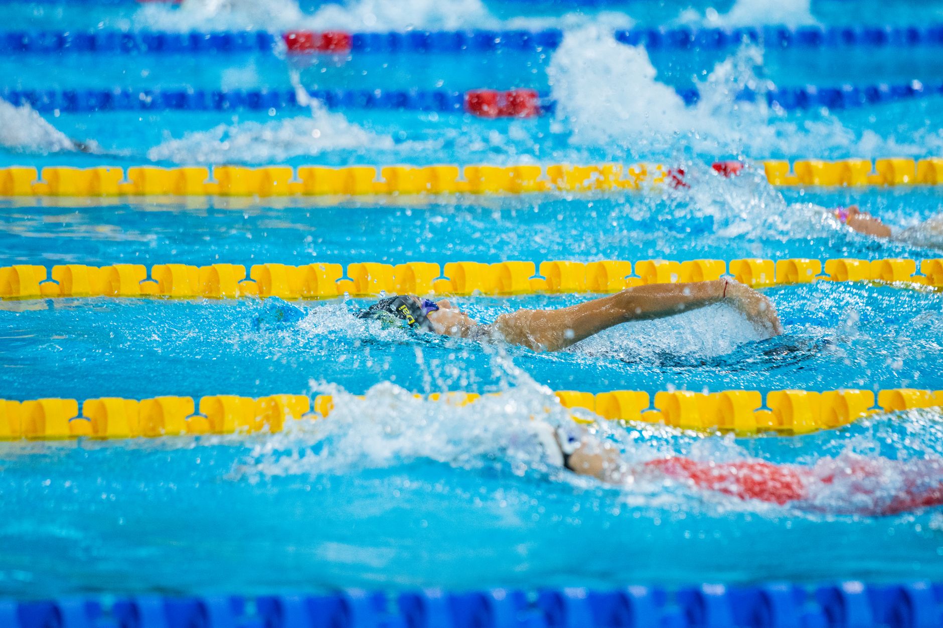 Liebmann schwimmt über 1.500 Meter Freistil Weltrekord und holt EM-Gold