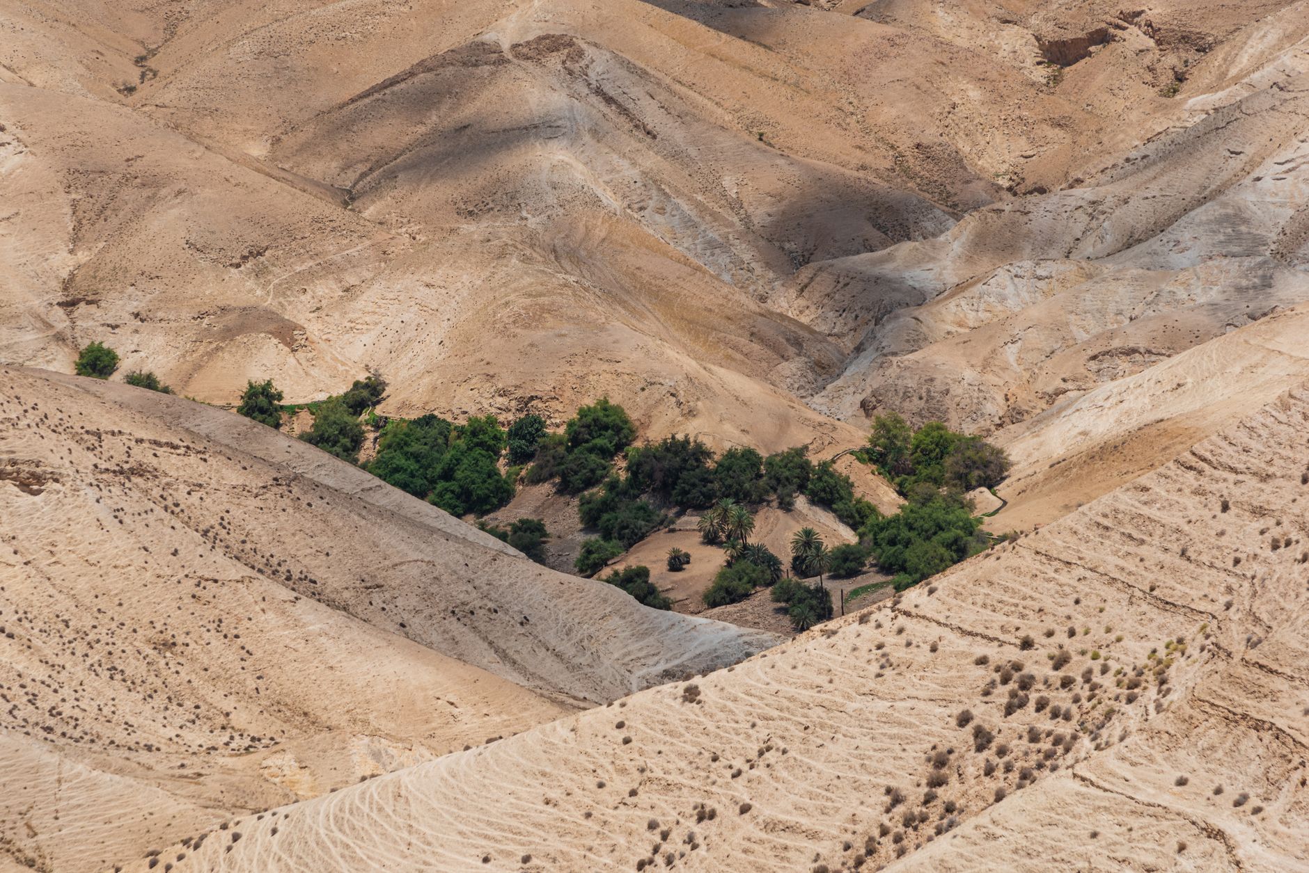 Archäologie - Forscher in Israel entdecken 1.300 Jahre altes "Industriegebiet" neben Fußball-Stadion