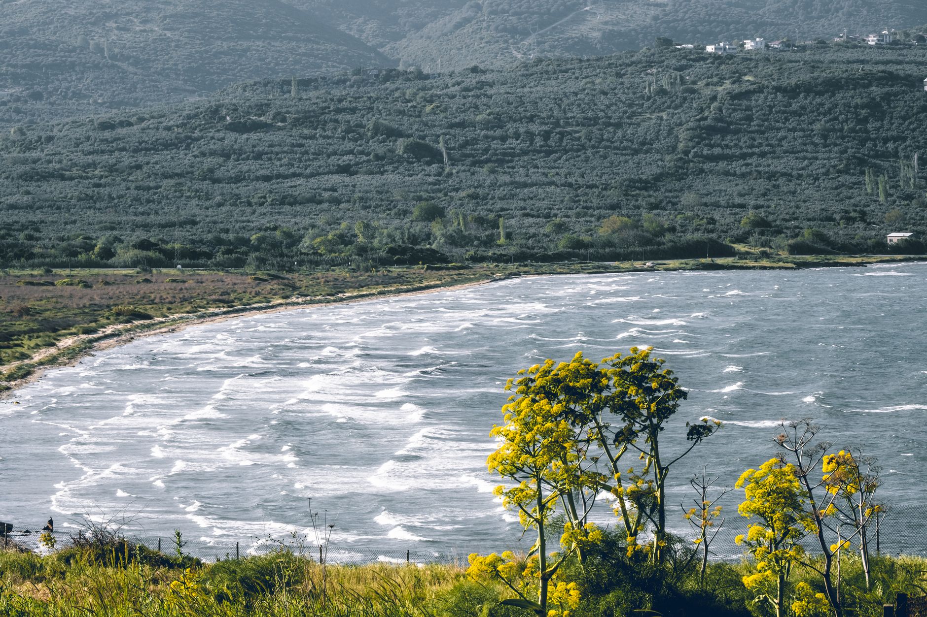 Wind erschwert Löscharbeiten - Griechenland: Zwei Tote bei Waldbränden auf der Insel Salamis