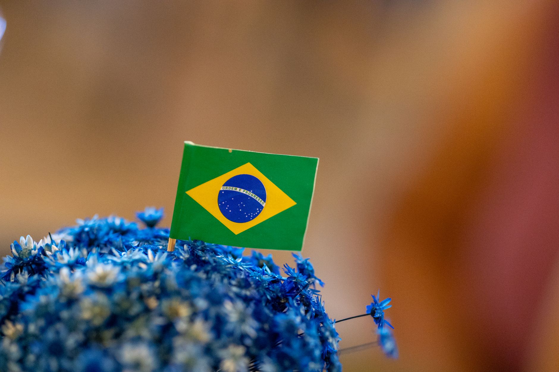 Brasilien - Lula und Bolsonaro-Sohn eröffnen Präsidentschafts-Wahlkampf