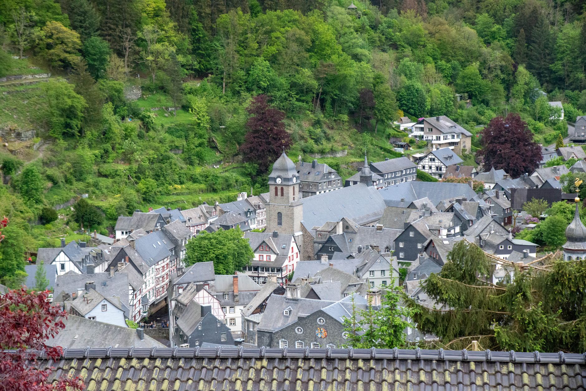 Waldbrände in Belgien und der Eifel: Brandgeruch zieht nach Hessen
